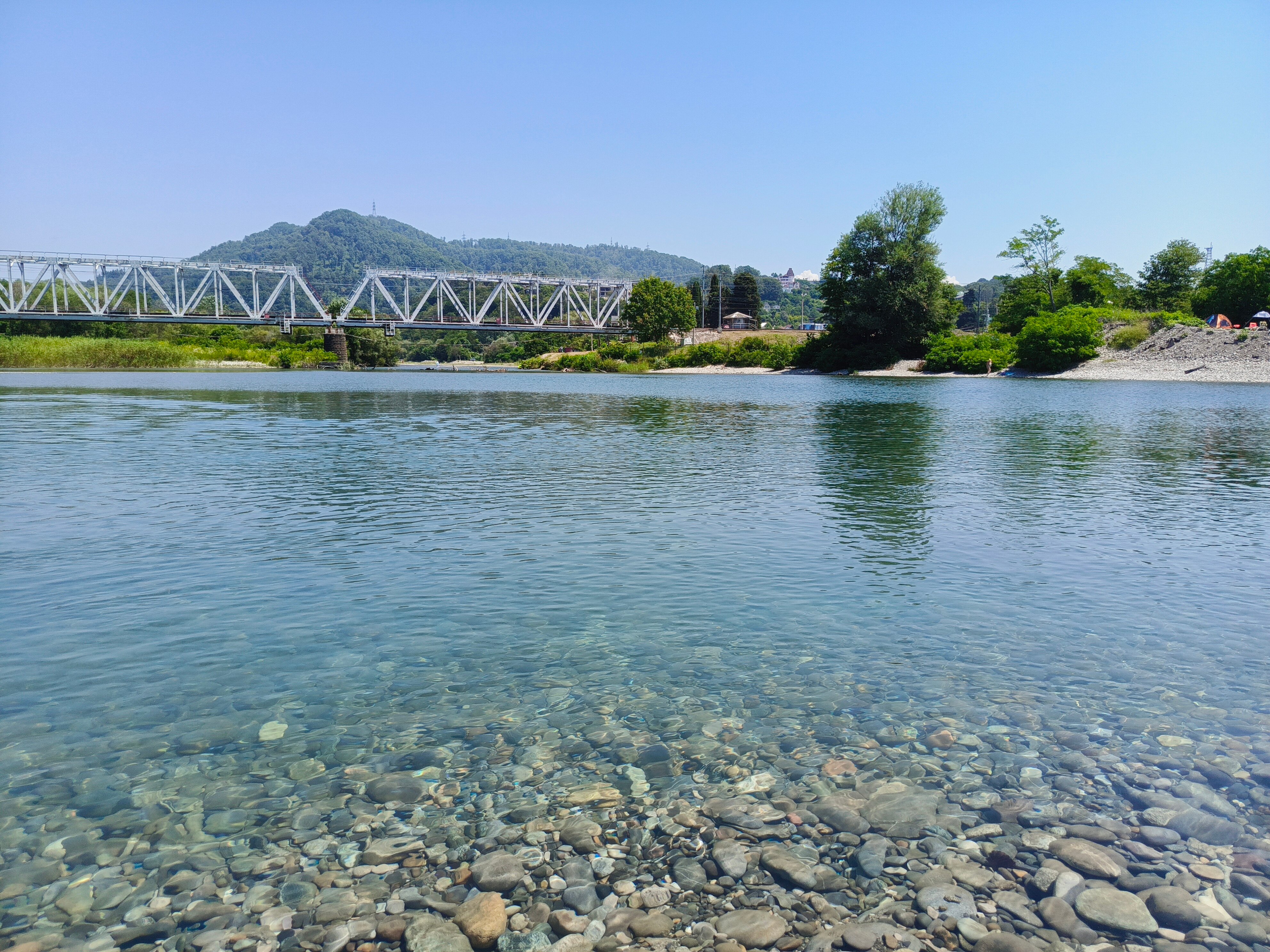 Фото Черный кот