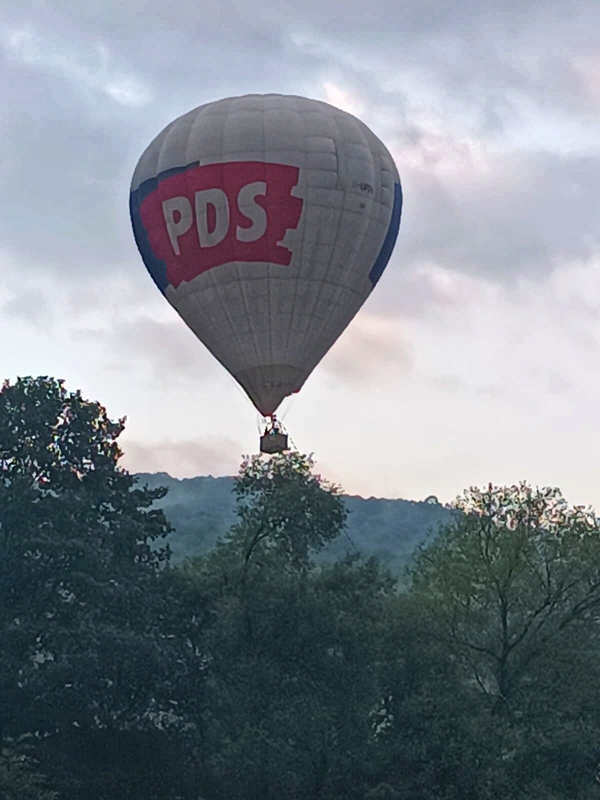 Фото Кактус Арт