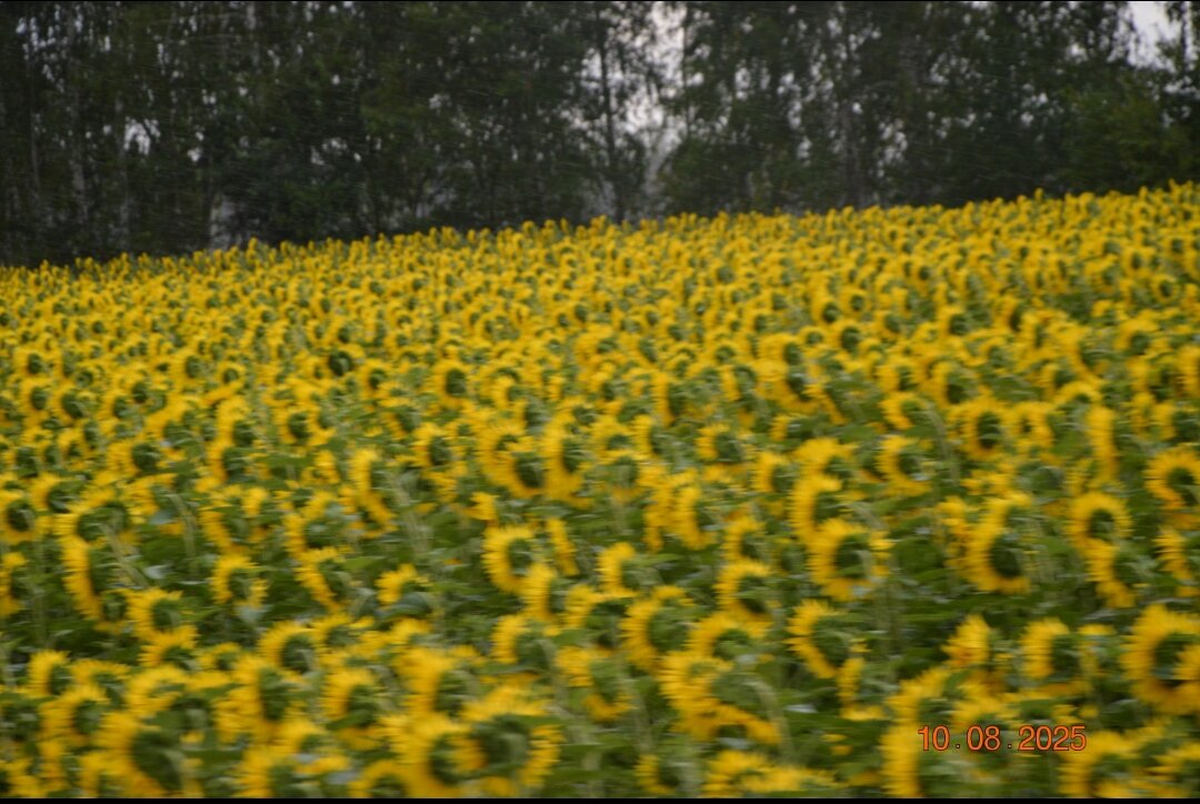 Фото ВМесте