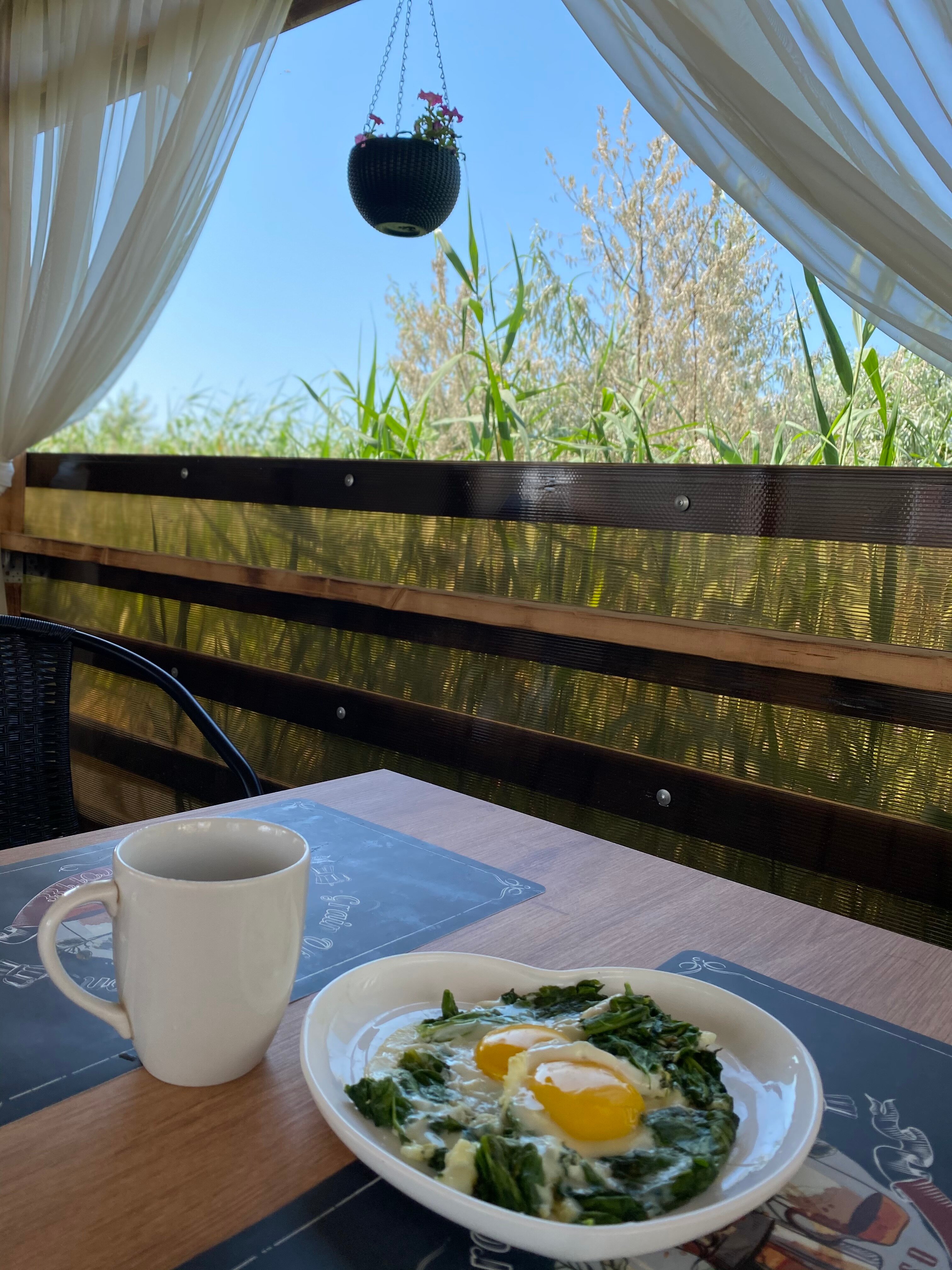 Фото Афина-Вояж