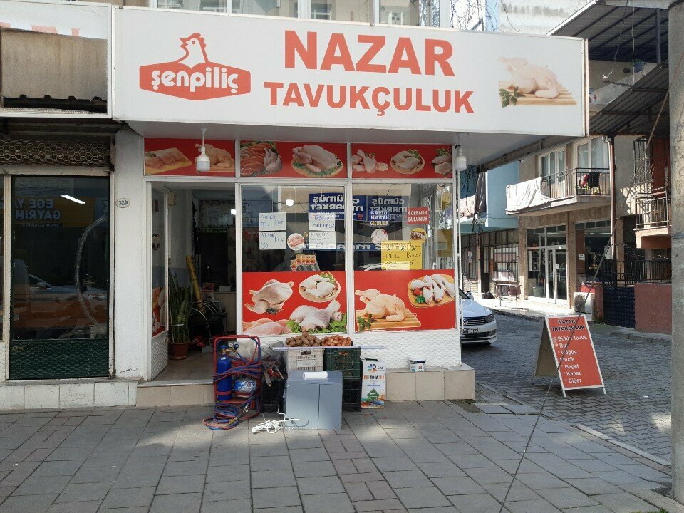 Egg and poultry meat Nazar Poultry, Izmir, photo