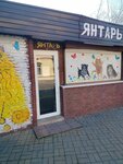 Янтарь (Vokzalnaya ulitsa, 1В), gift and souvenir shop