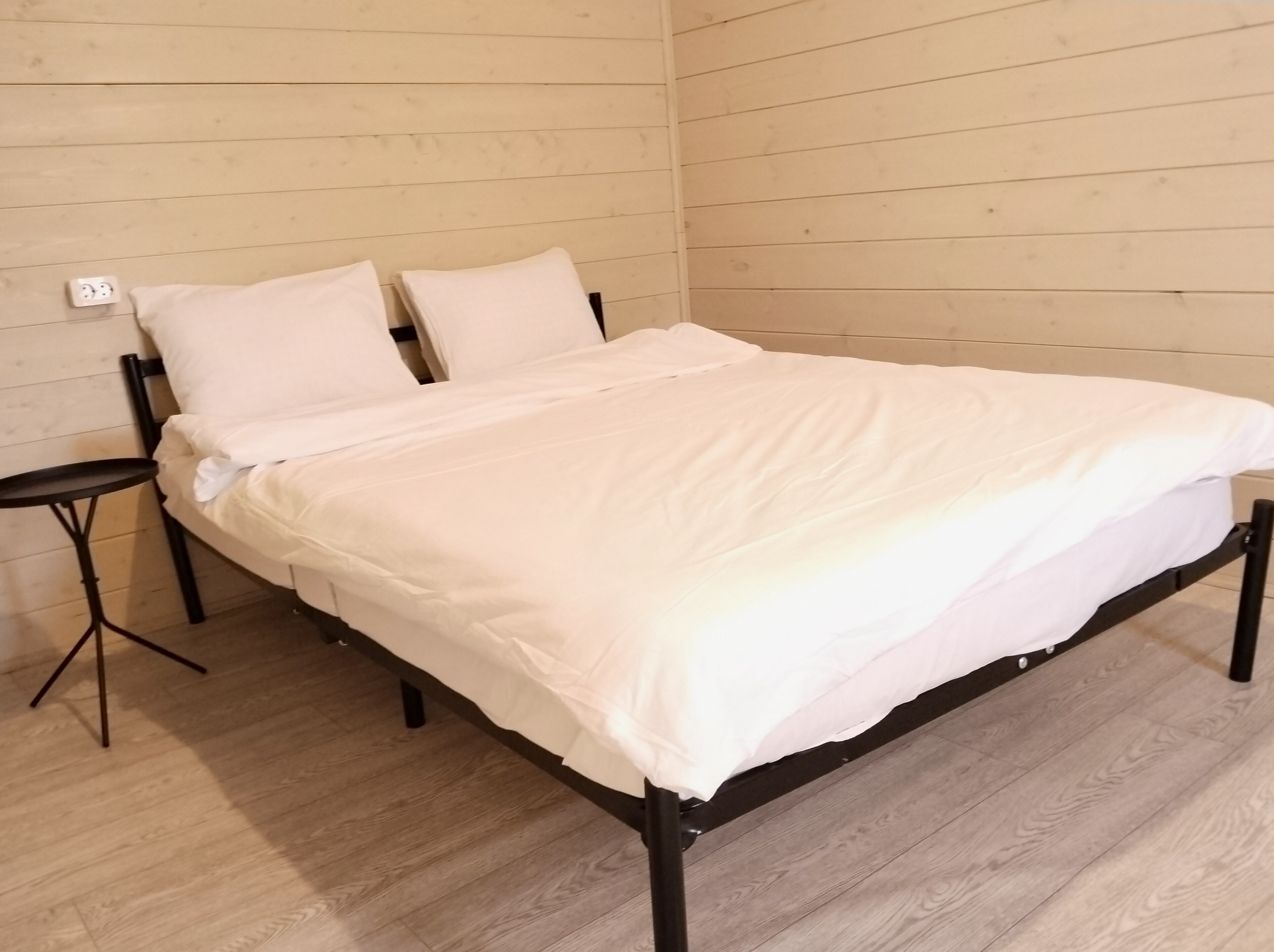 Фото Сосны. Тут