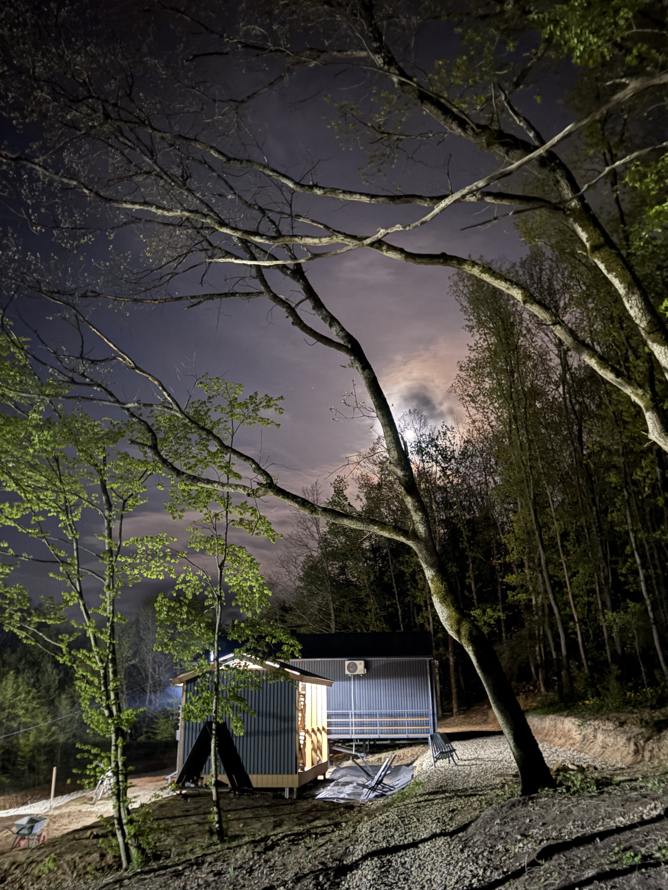 Фото Лес Азовская