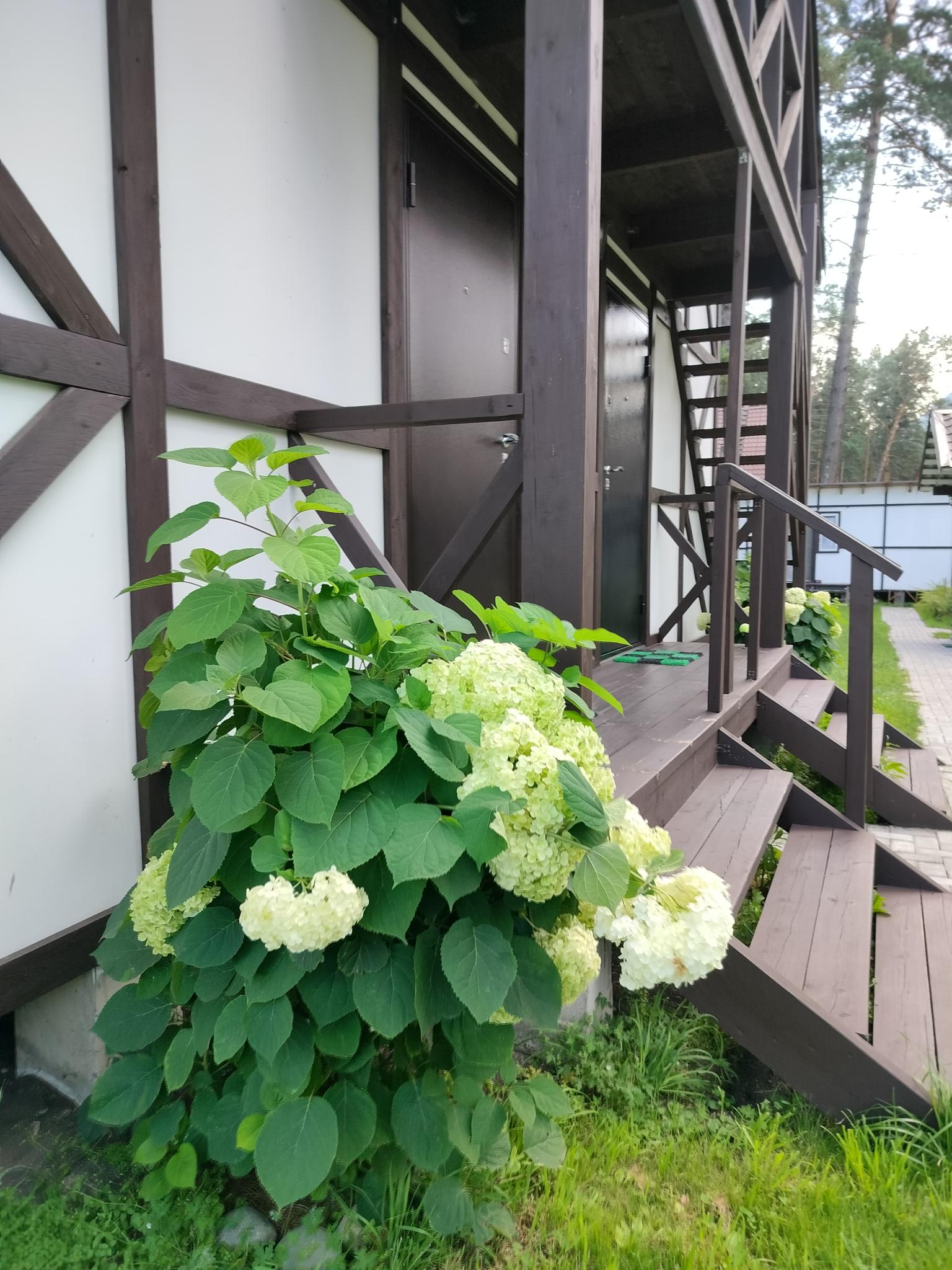 Фото Панорама