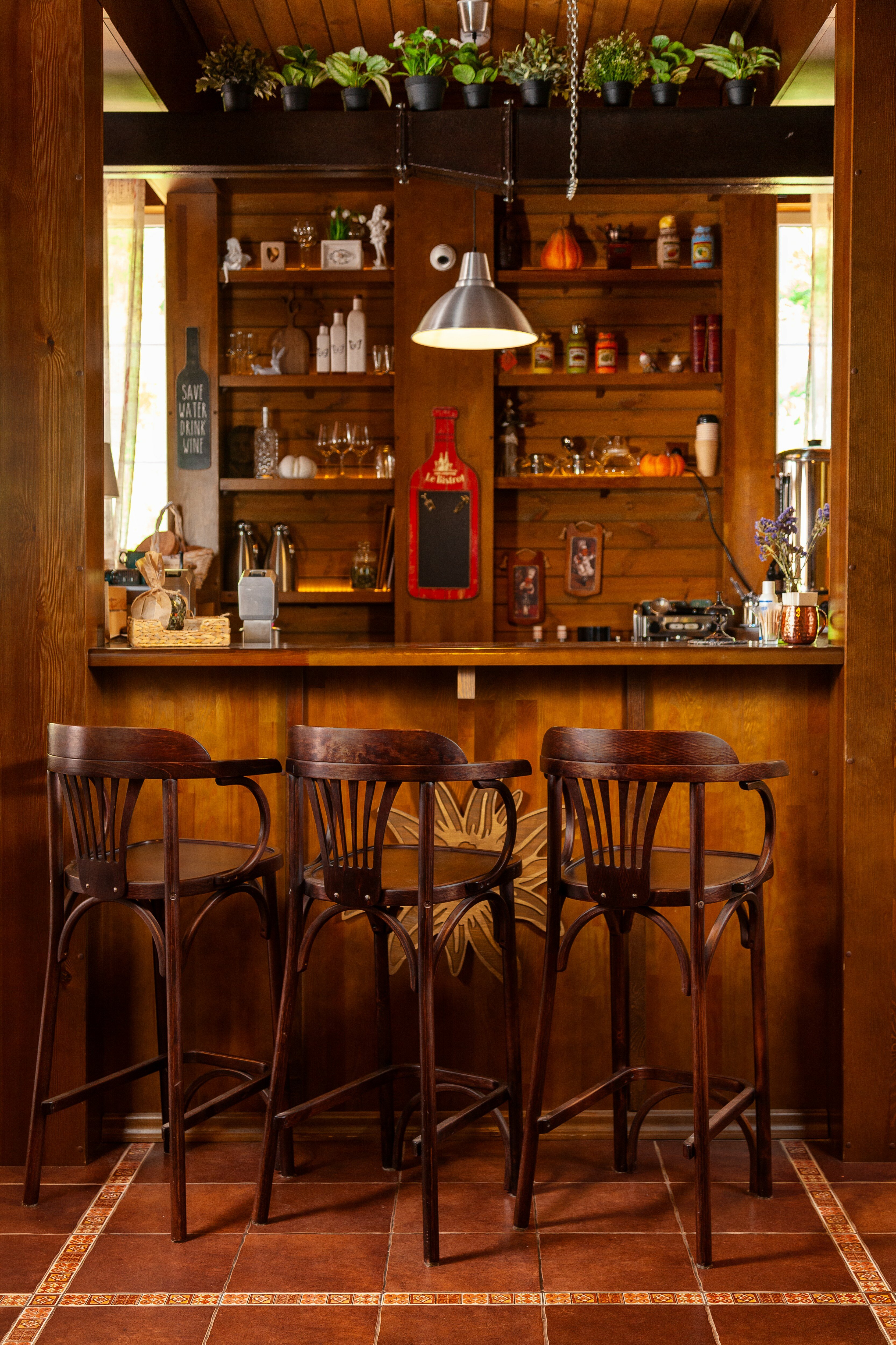 Фото Леонтоподиум