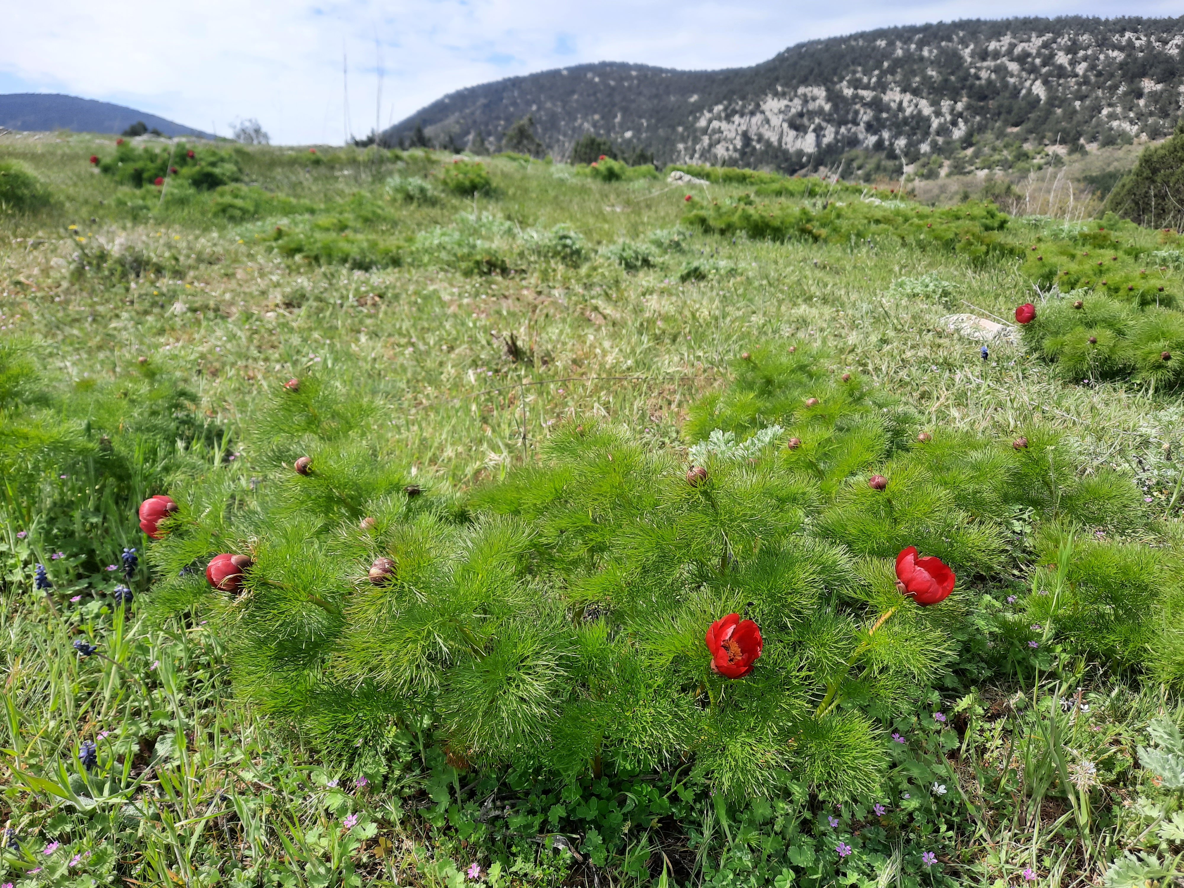 Фото Крымская Швейцария