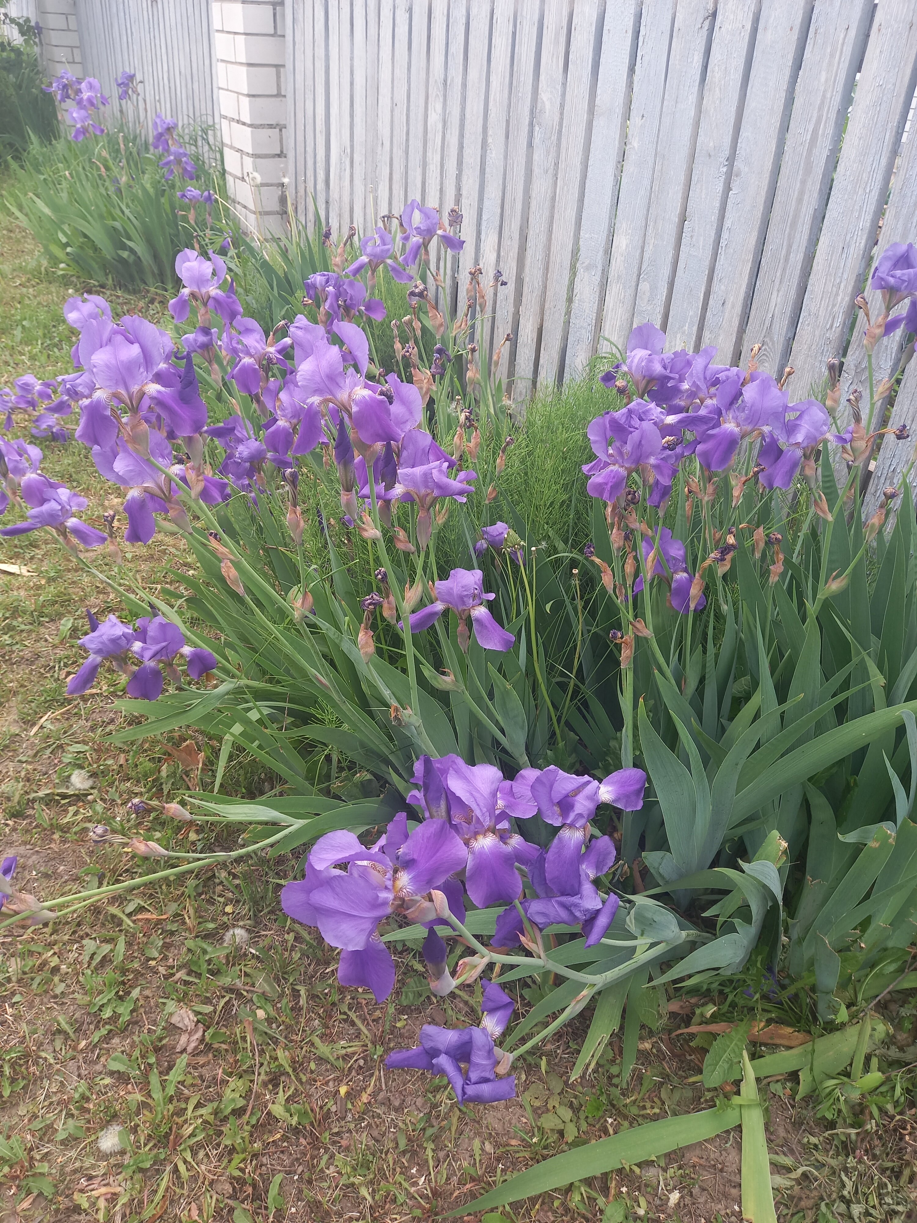 Фото В гостях у мастера