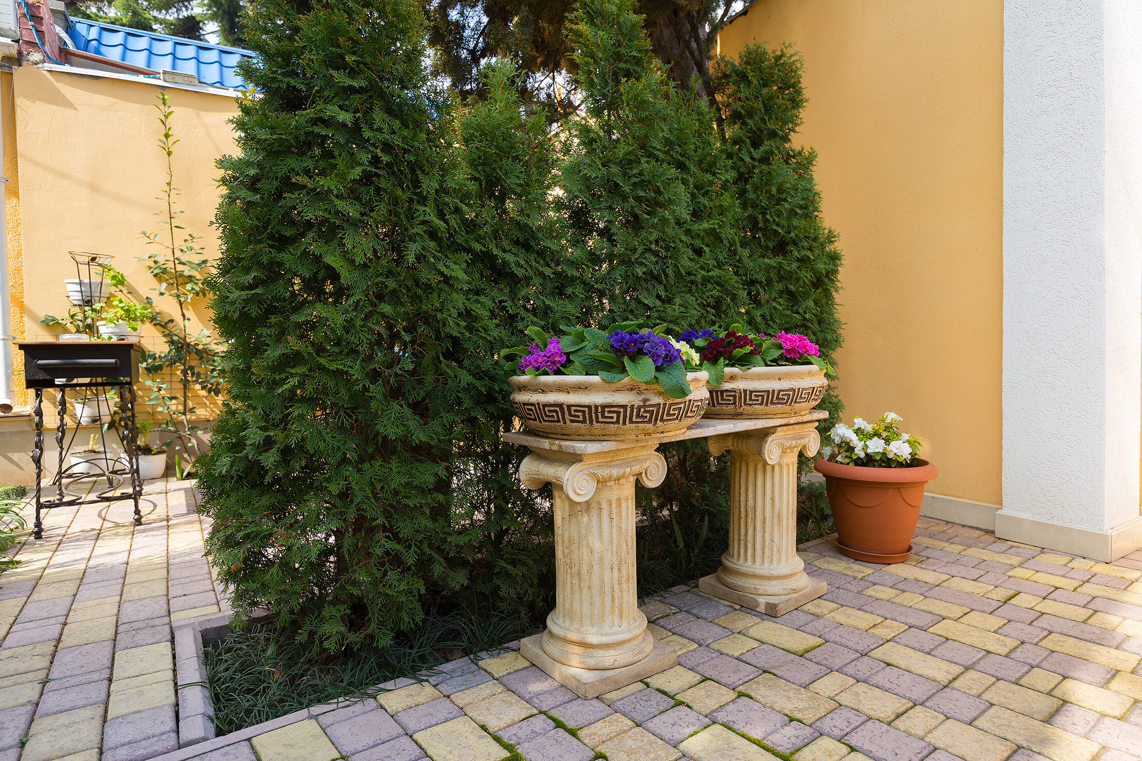 Фото Да Винчи