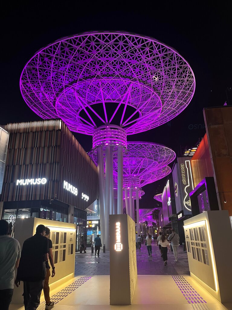 Amusement ride Flying Cup, Dubai, photo