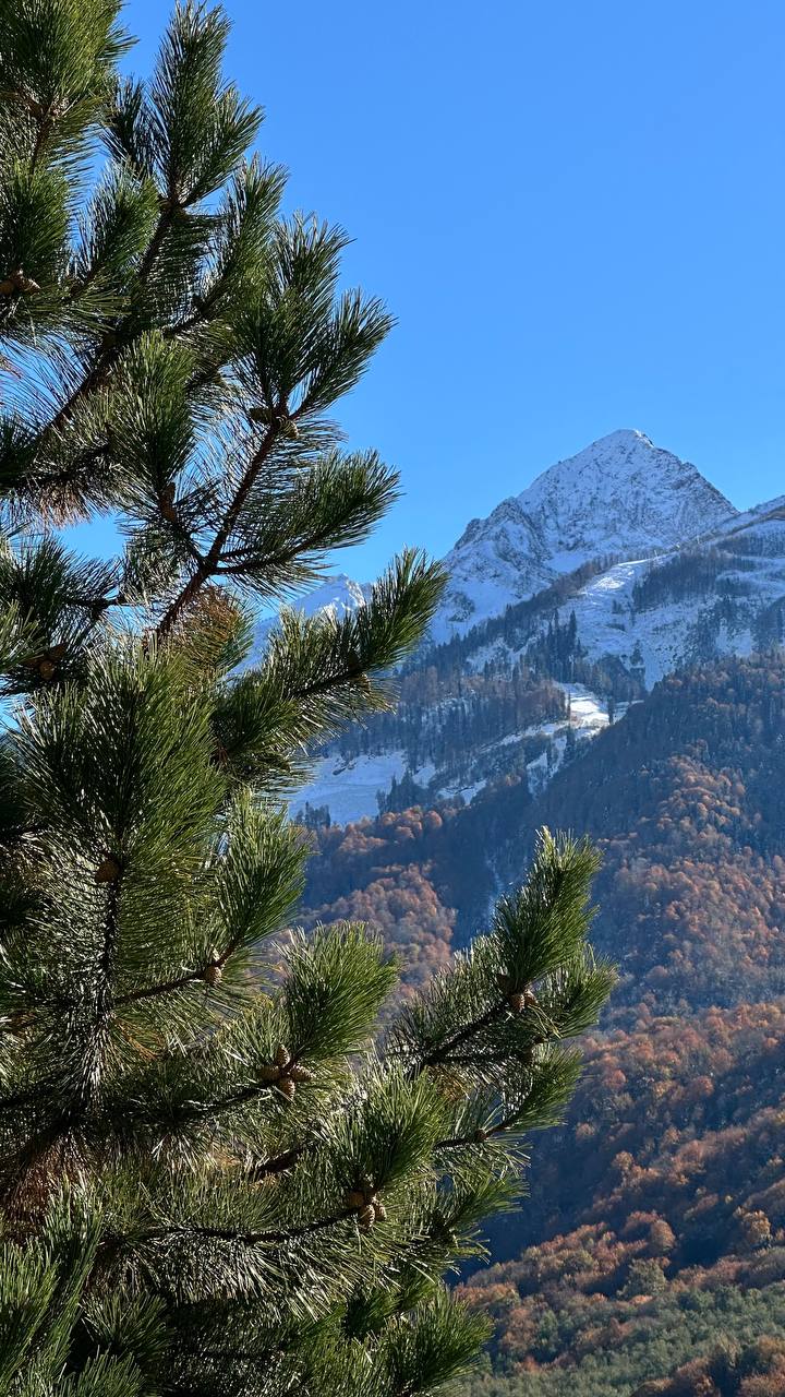 Фото Комплекс отдыха Беларусь
