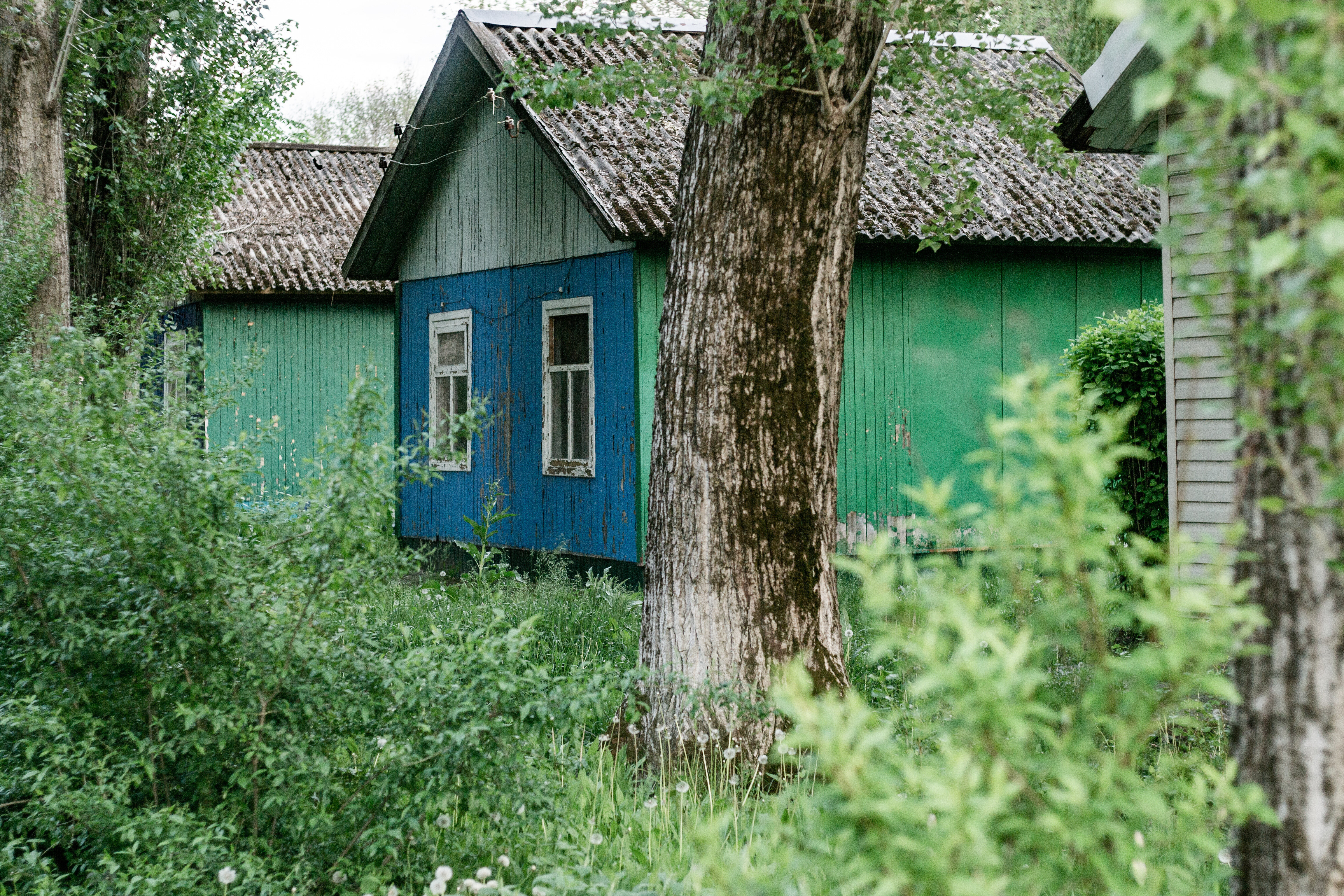 Фото Карасёвка