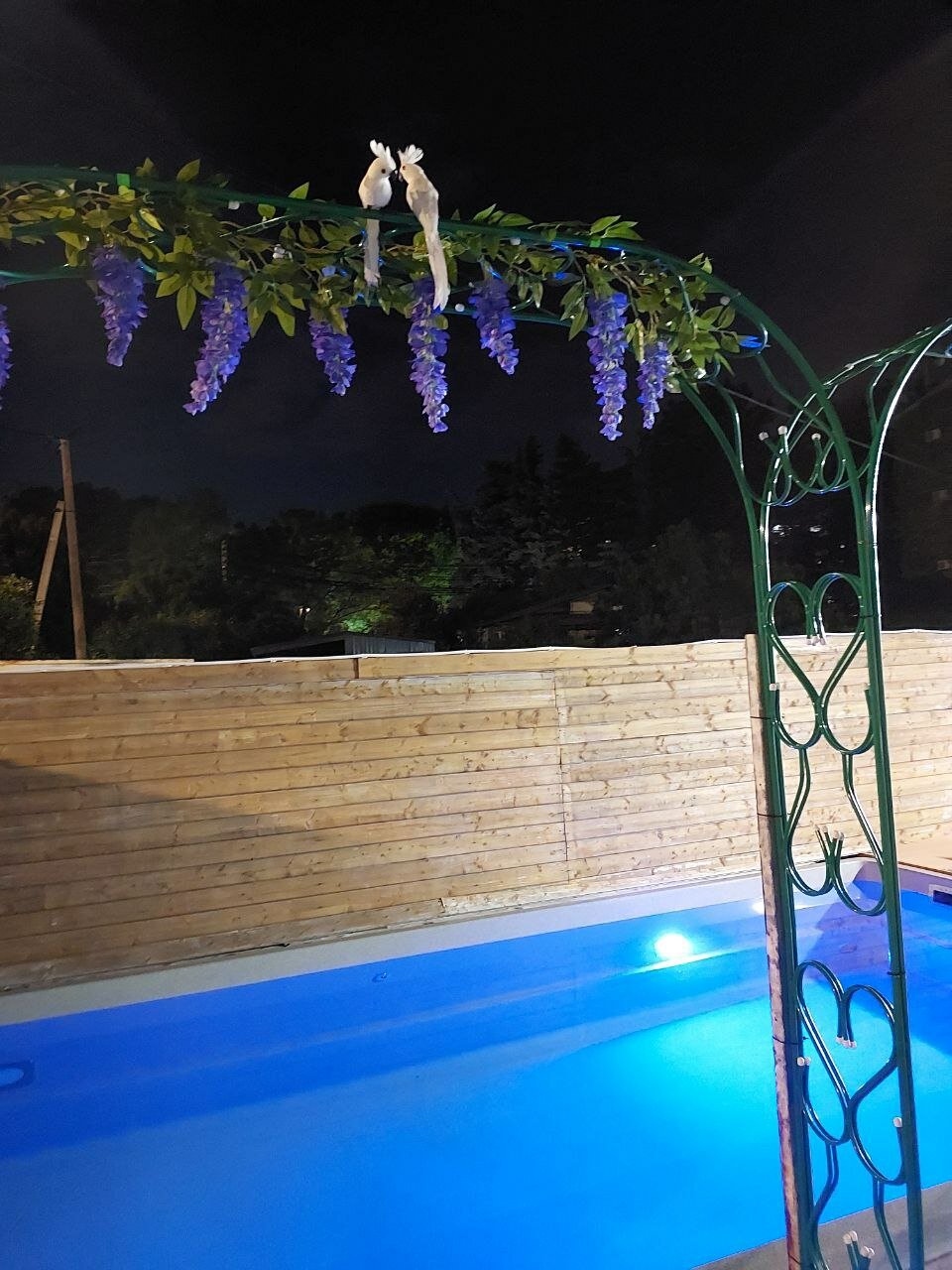 Фото Аметист