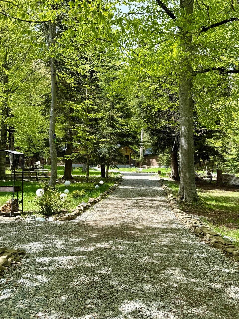 Фото Liberty Village