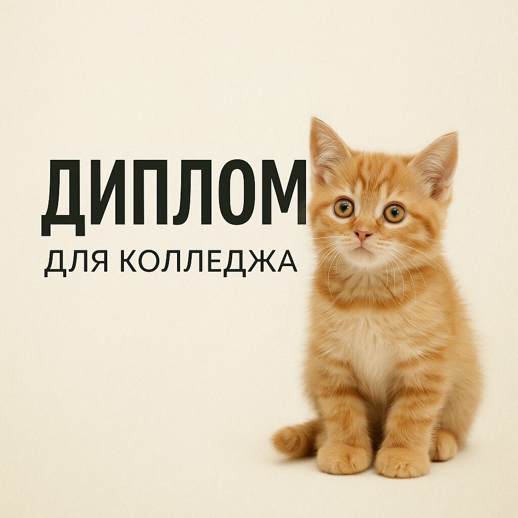 Услуги репетиторов Кот ученый, Москва, фото