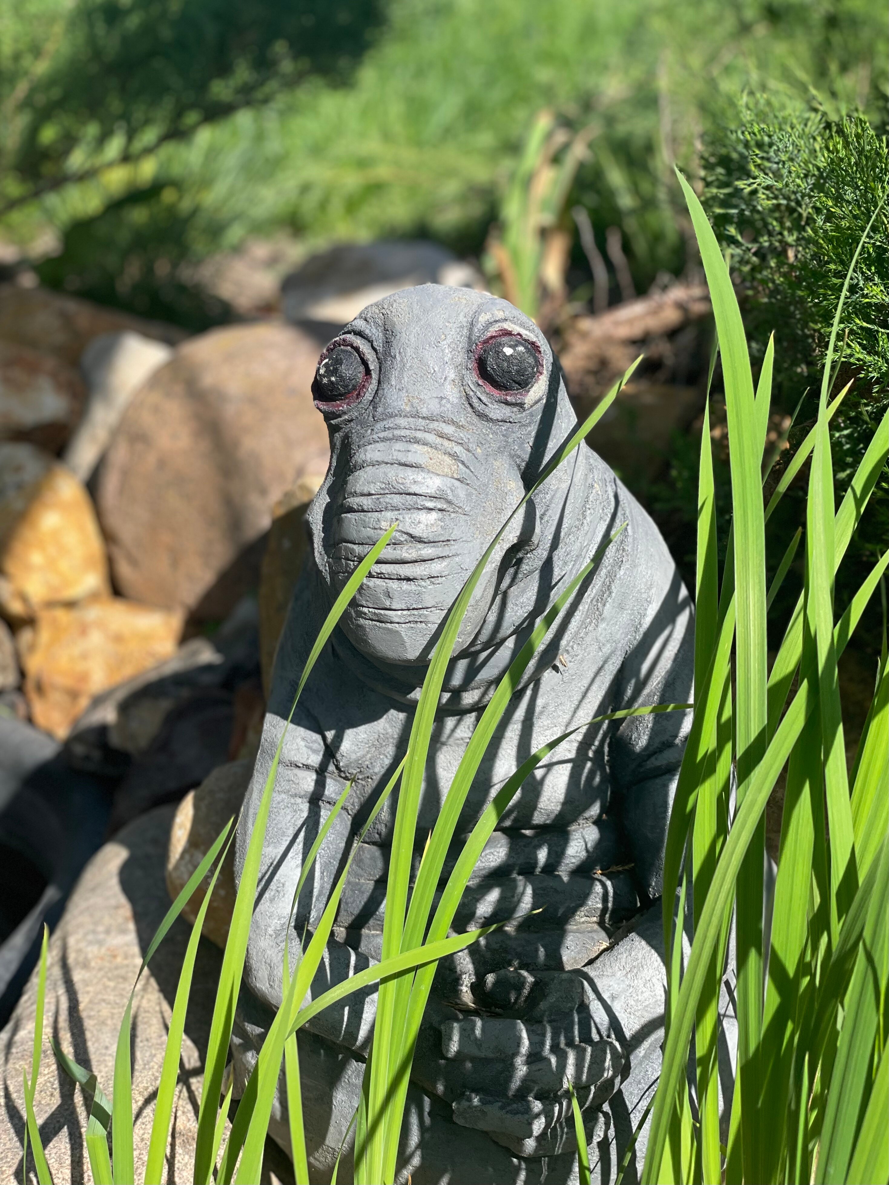 Фото Снегирь