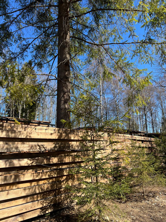 Фото Шишкин Place