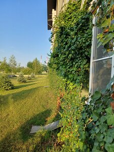 Green Hotel