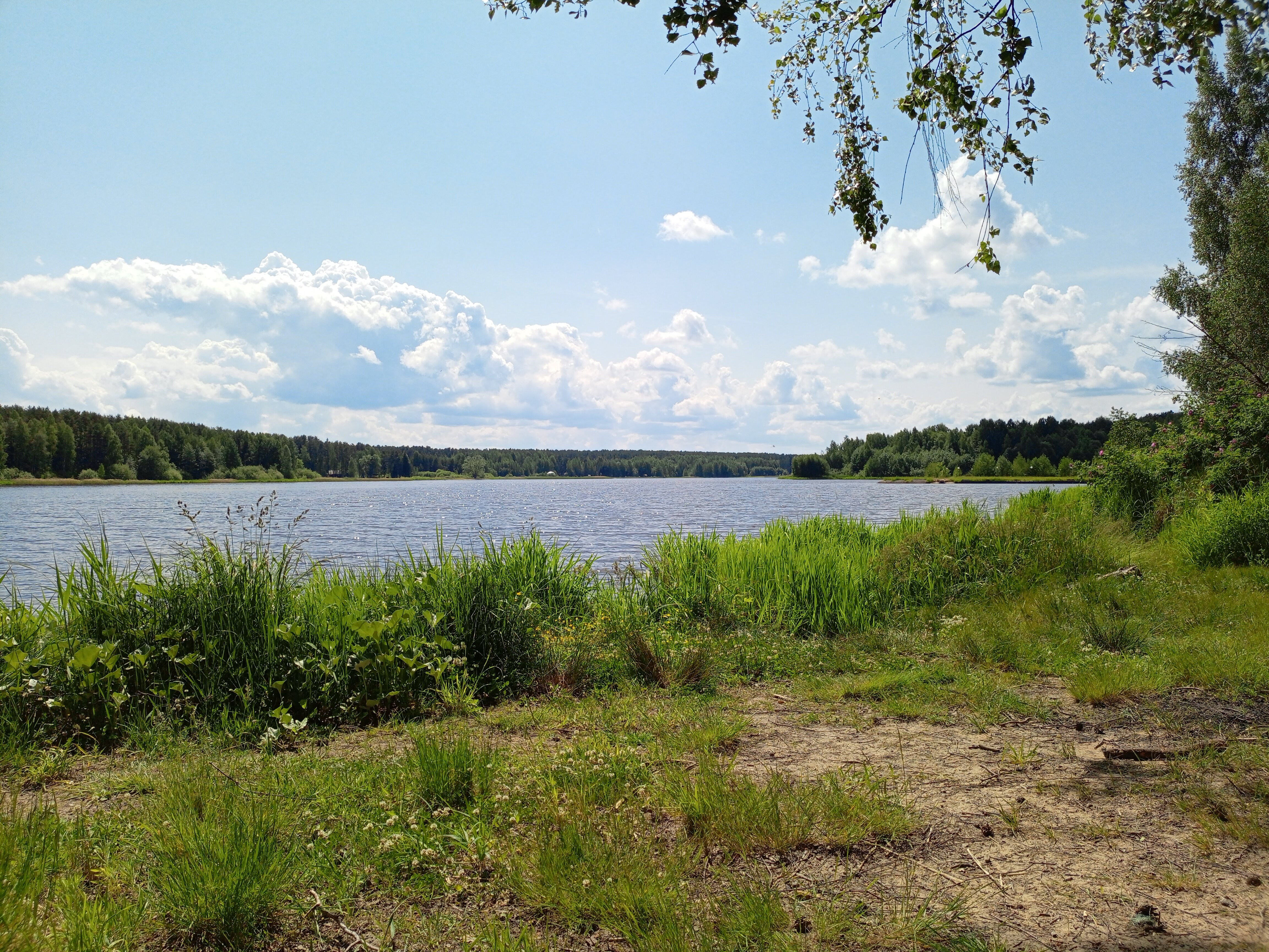 Фото Усадьба Волжское лесничество