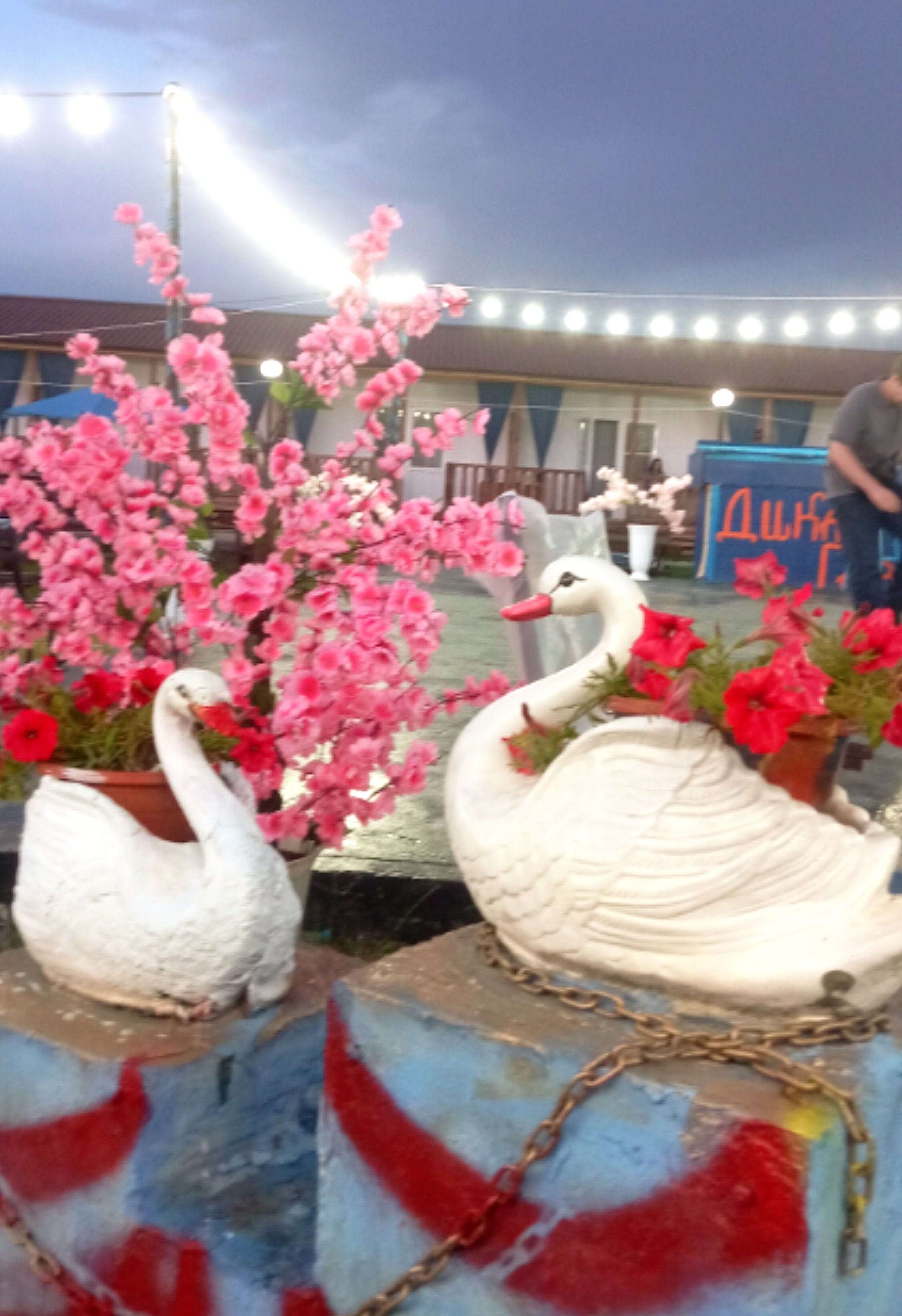 Фото Дикая Гавань