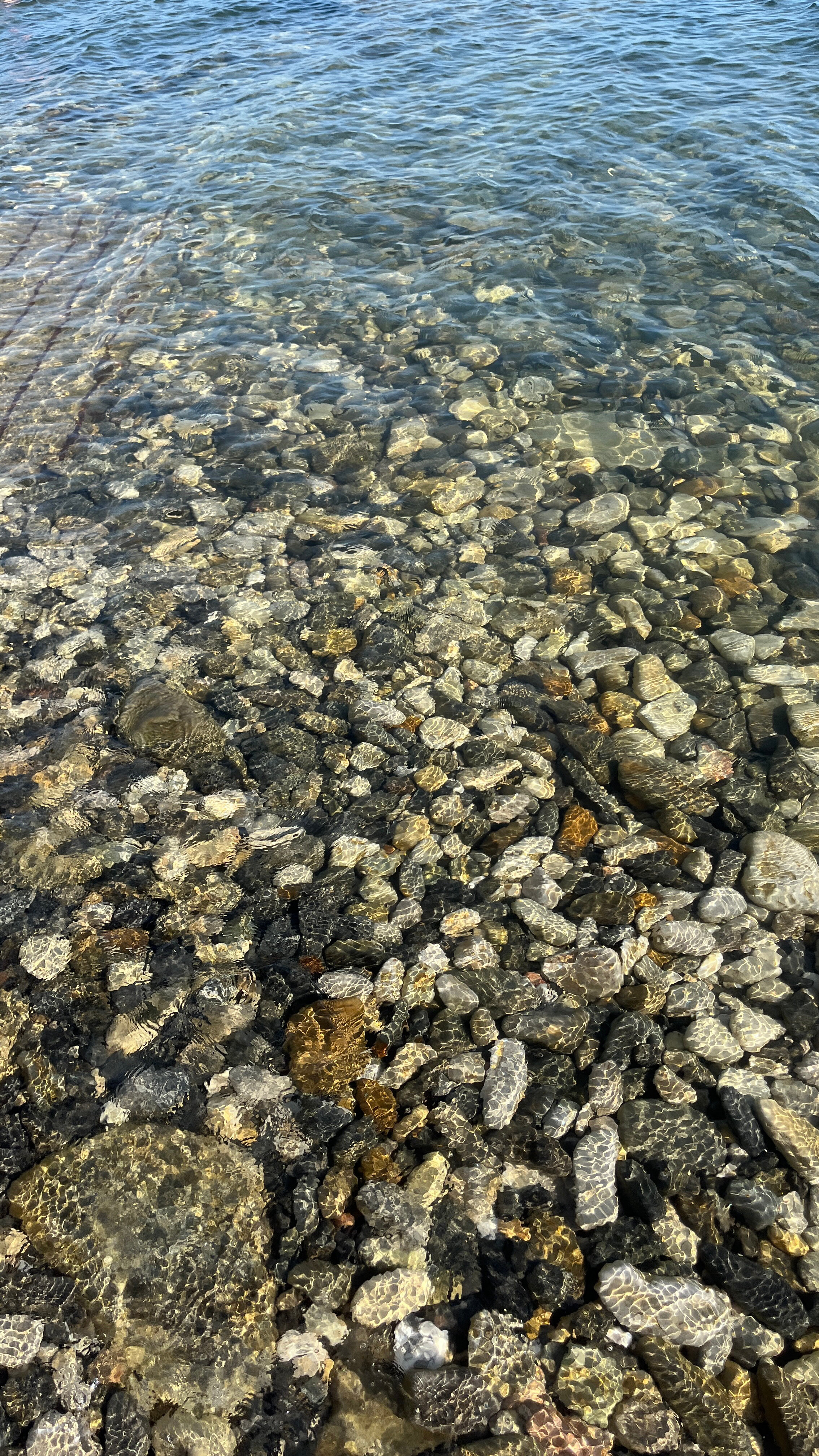 Фото Прибрежная сказка