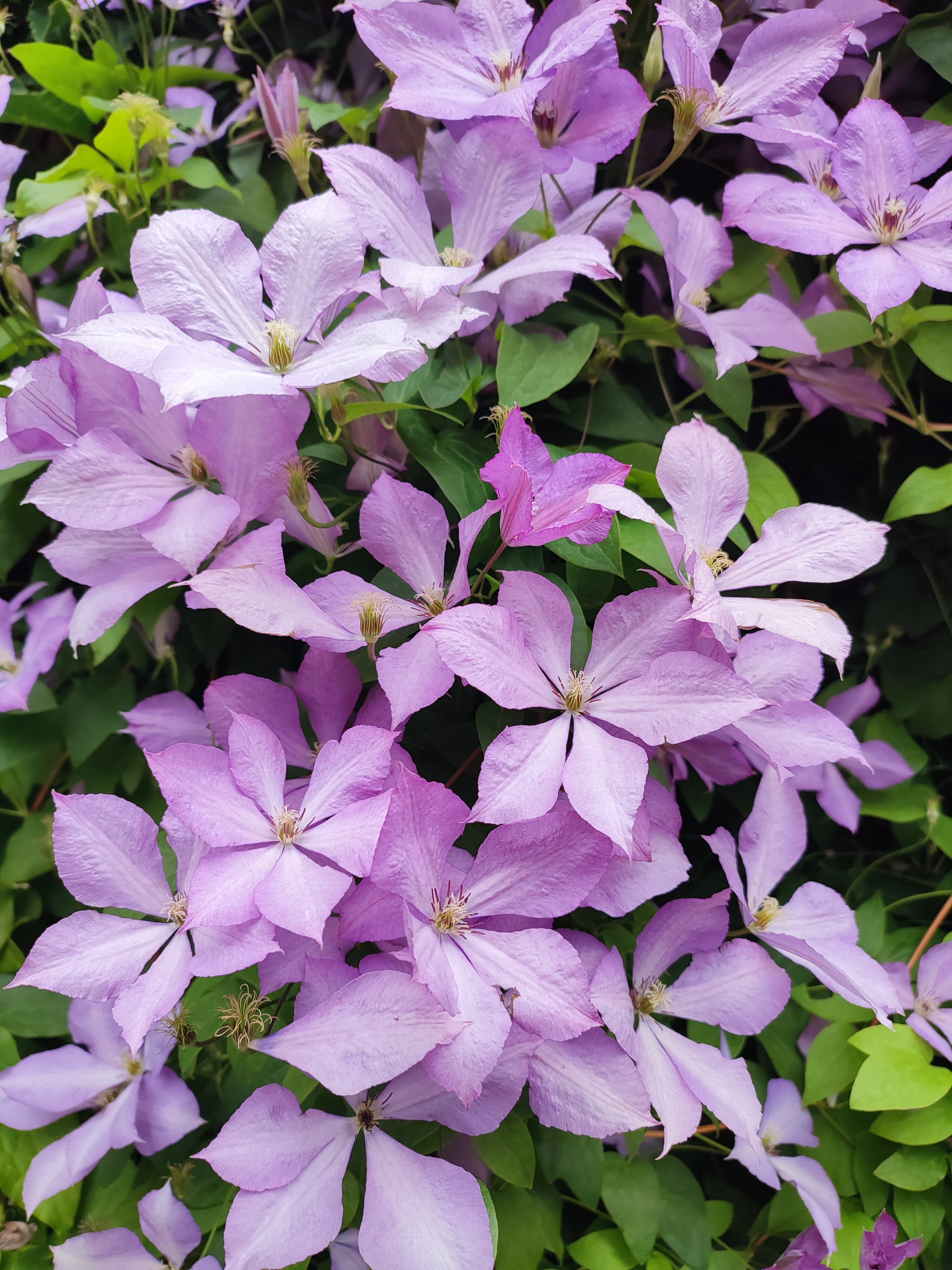 Фото Меридиан-Юг