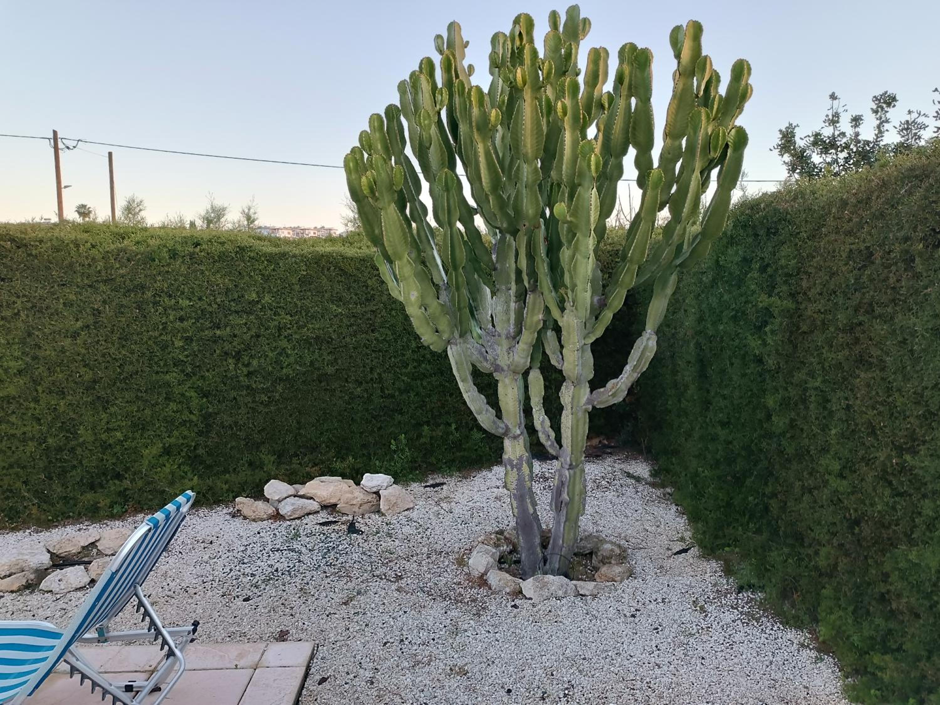 Фото Kapsalia Holiday Villas