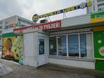 Planeta tsvetov (Chulman Avenue, 63/47) ، محل زهور