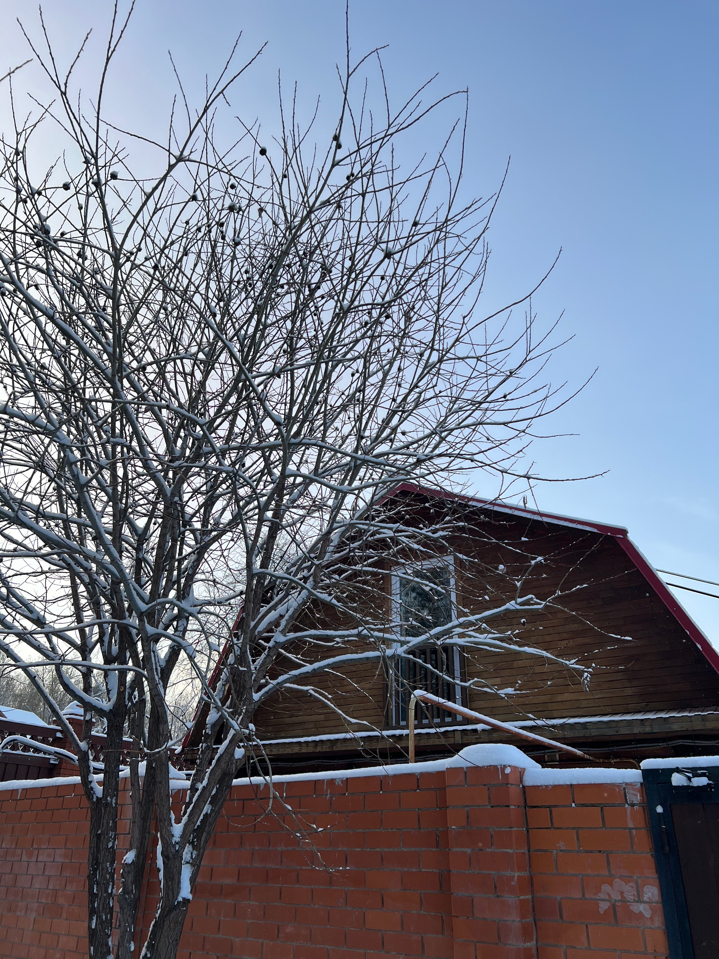 Фото Verba House