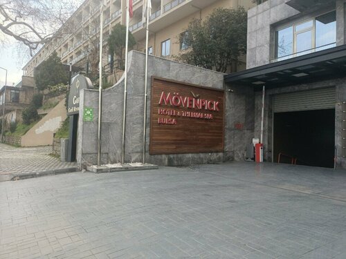 Гостиница Mövenpick Hotel & Thermal Spa Bursa в Османгази