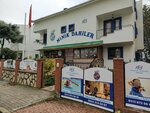 Little Geniuses Kindergarten (Istanbul, Beylikduzu, Baris Neighborhood, Ciftlik Avenue, 36), kindergarten, nursery