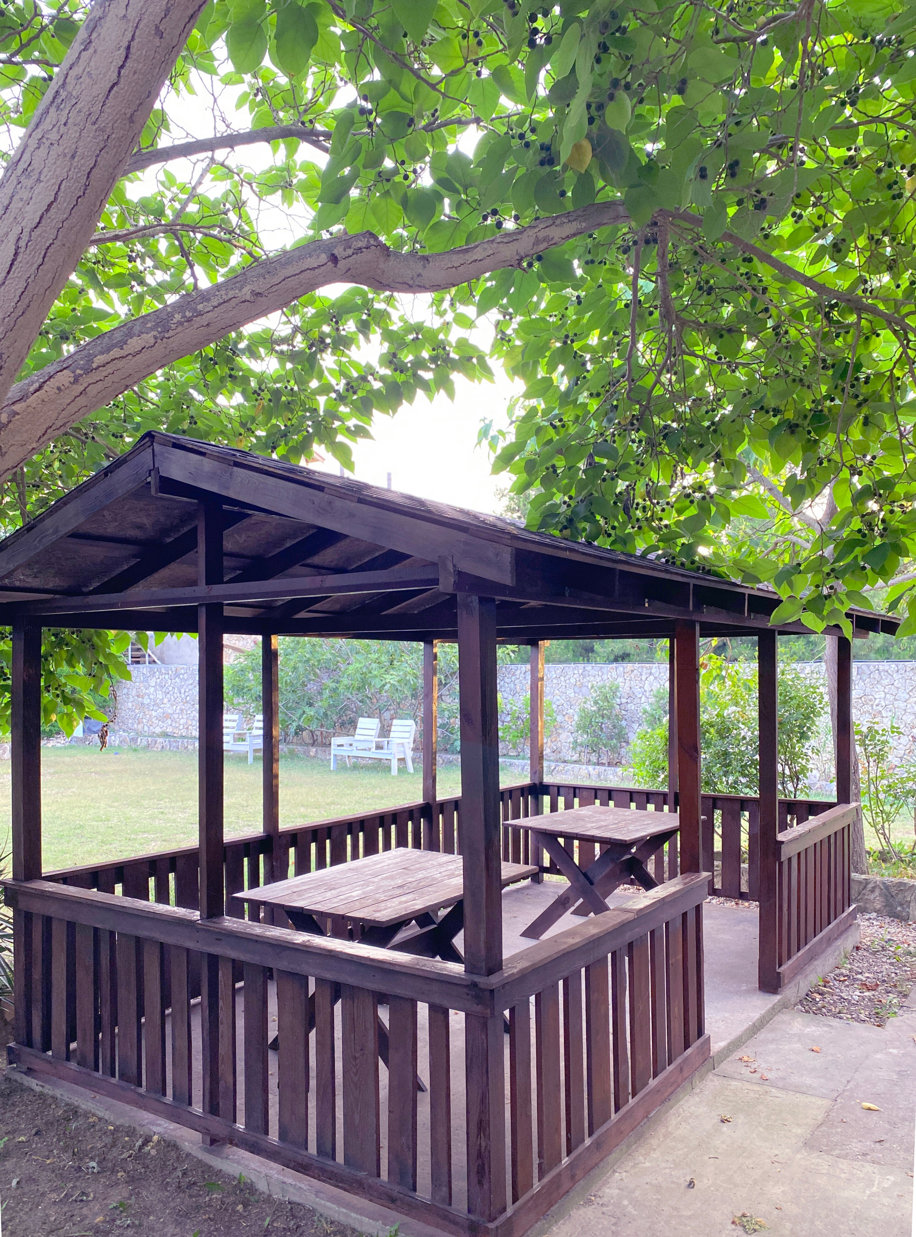 Фото АвокаДа