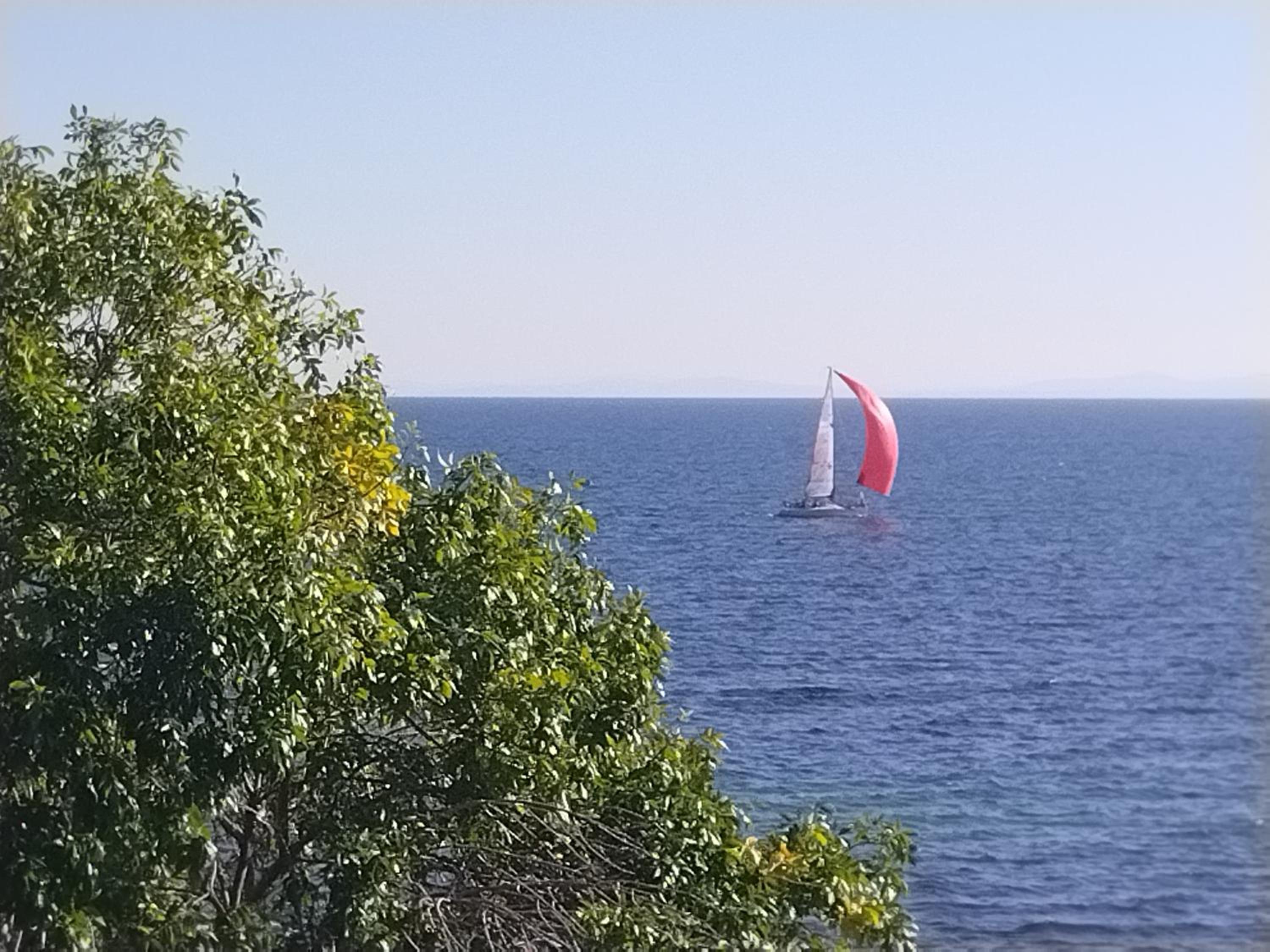 Фото Family St. Stefan