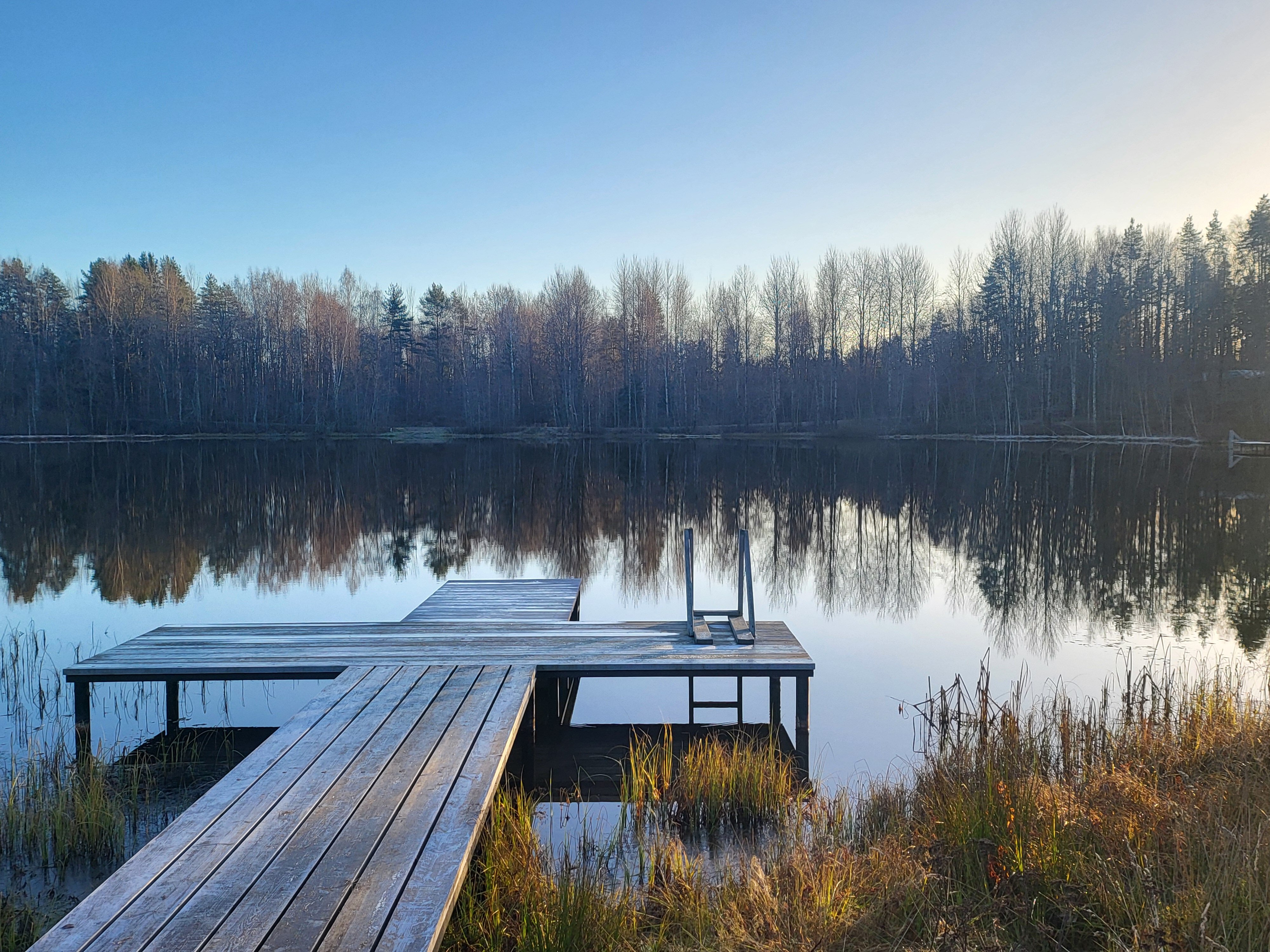 Фото Лосиный ключ