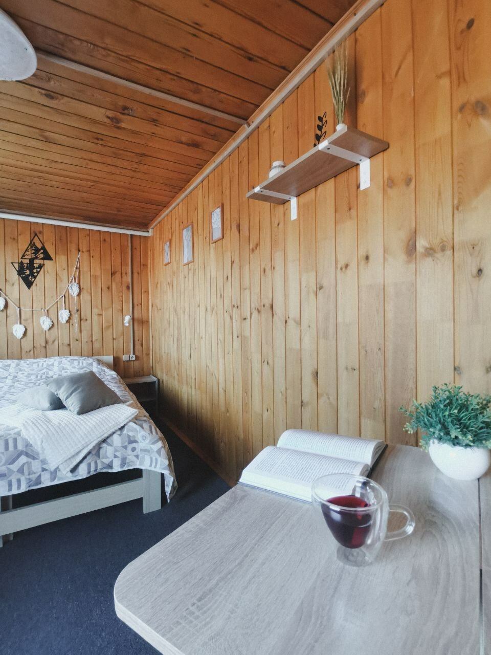 Фото Рыжая сова