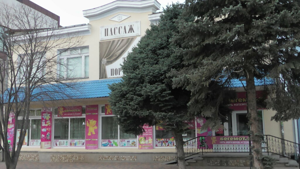 Shopping mall Пассаж, Svetlograd, photo
