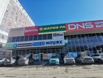 Бристоль (Bardina Avenue, 26), management company