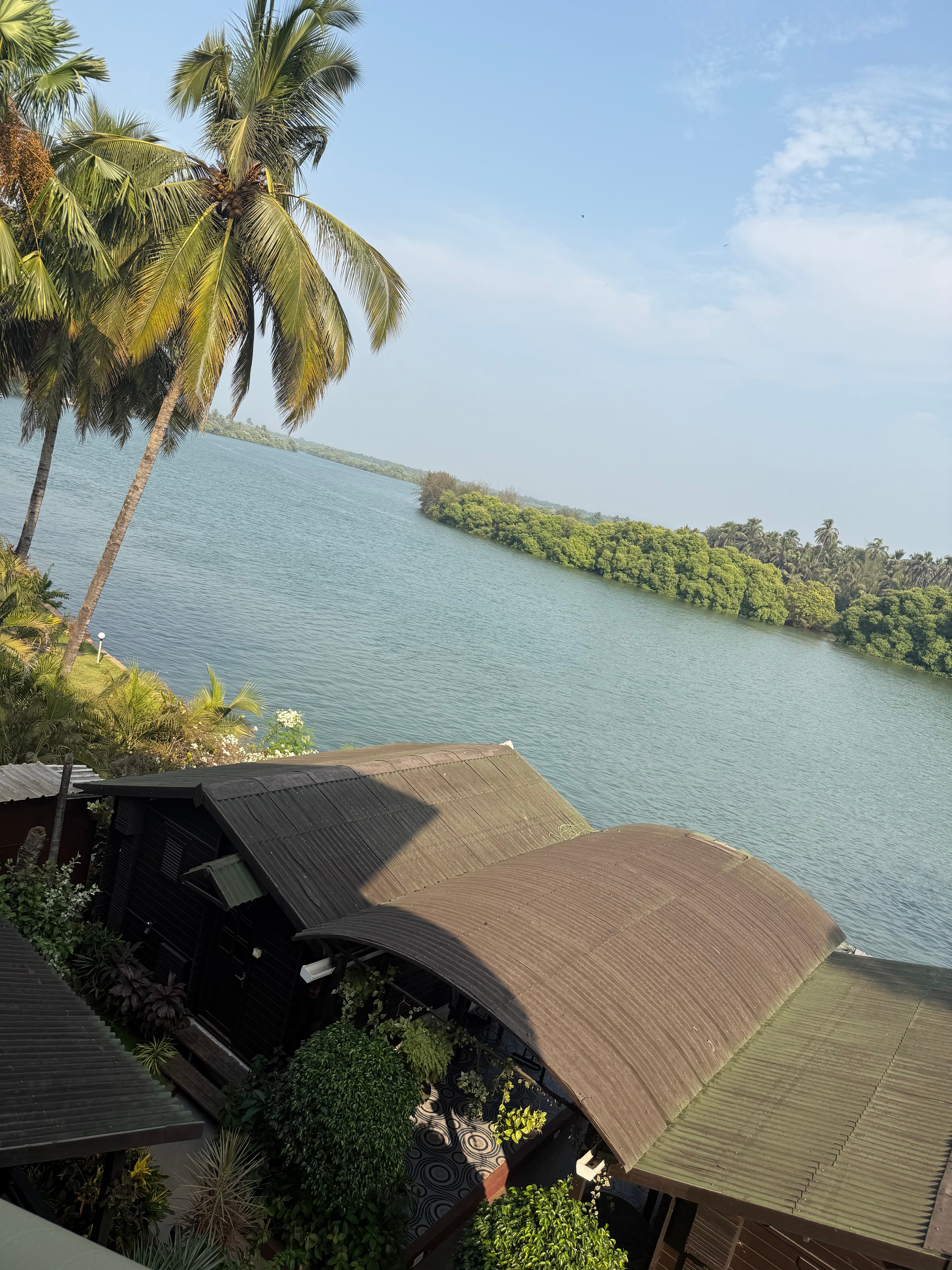 Фото Sal Riviera