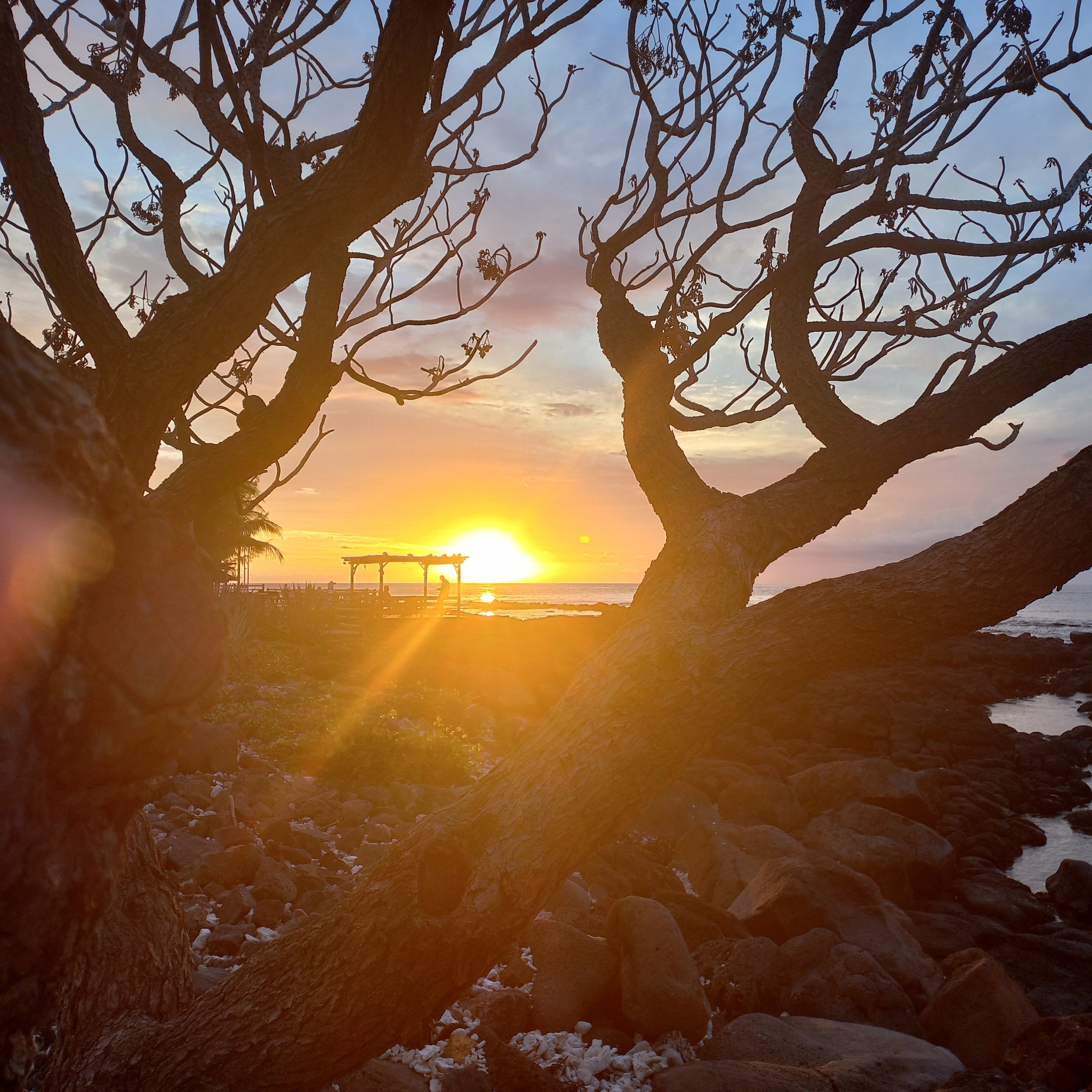 Фото Anelia Resort & SPA