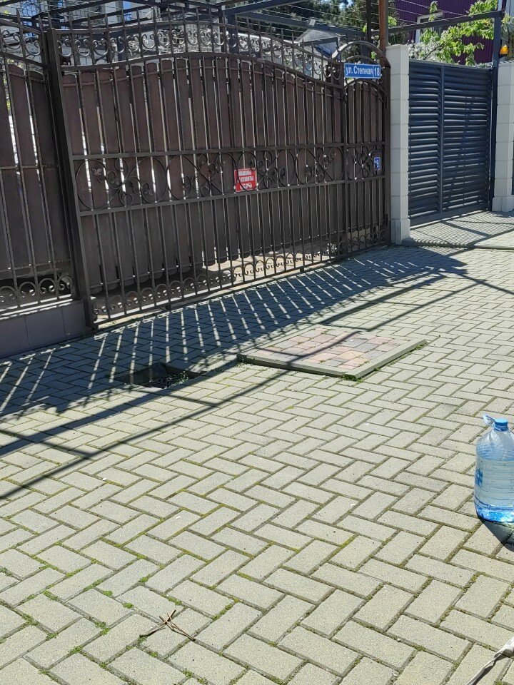 Фото Виноградная лестница