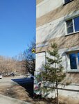 Studiya Internet Tekhnology (ulitsa Kalinina, 3) ، استوديو تصميم المواقع