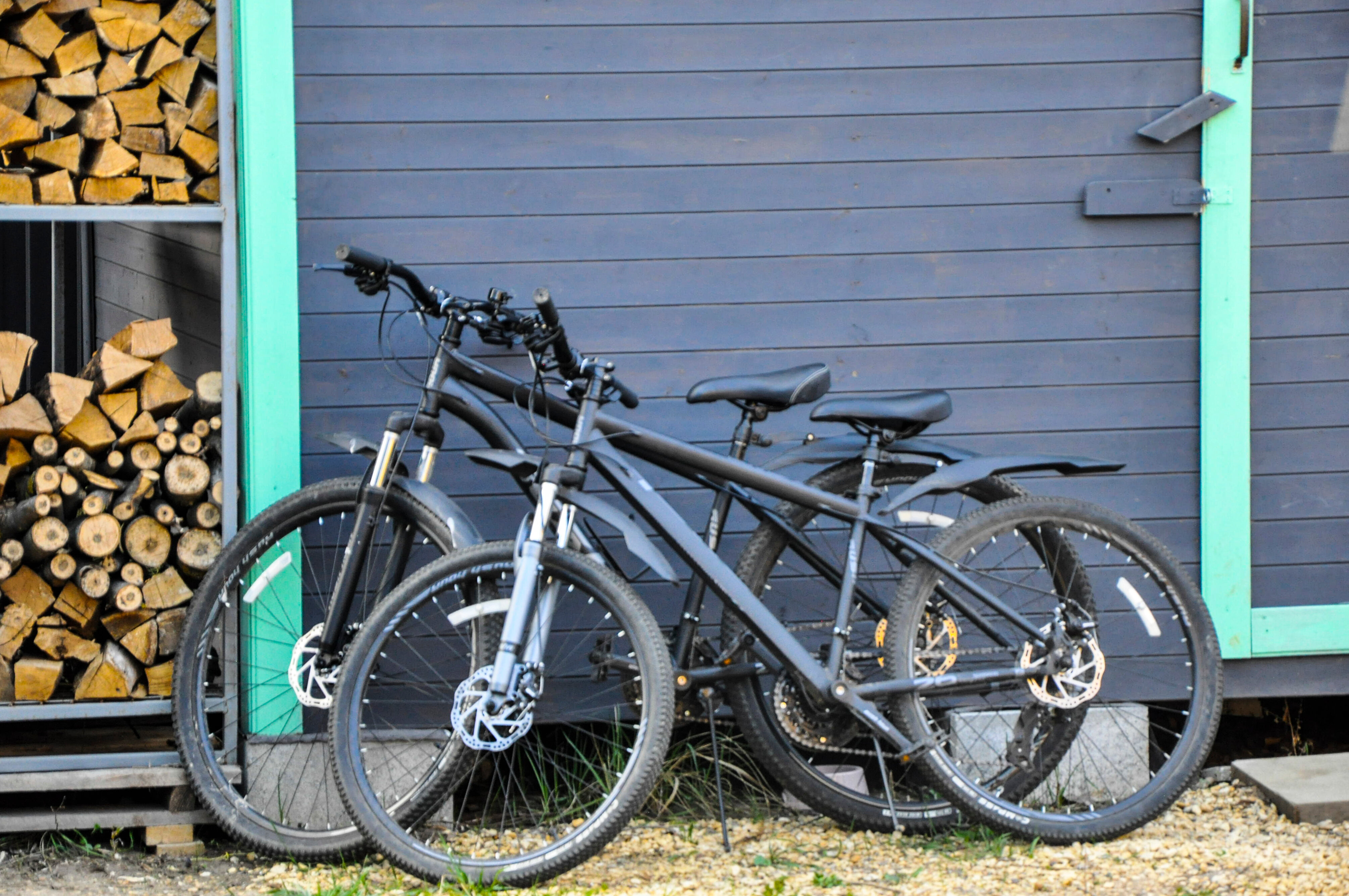 Фото Гуси House