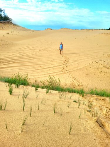 Landmark, attraction Don Sahara, Voronezh Oblast, photo