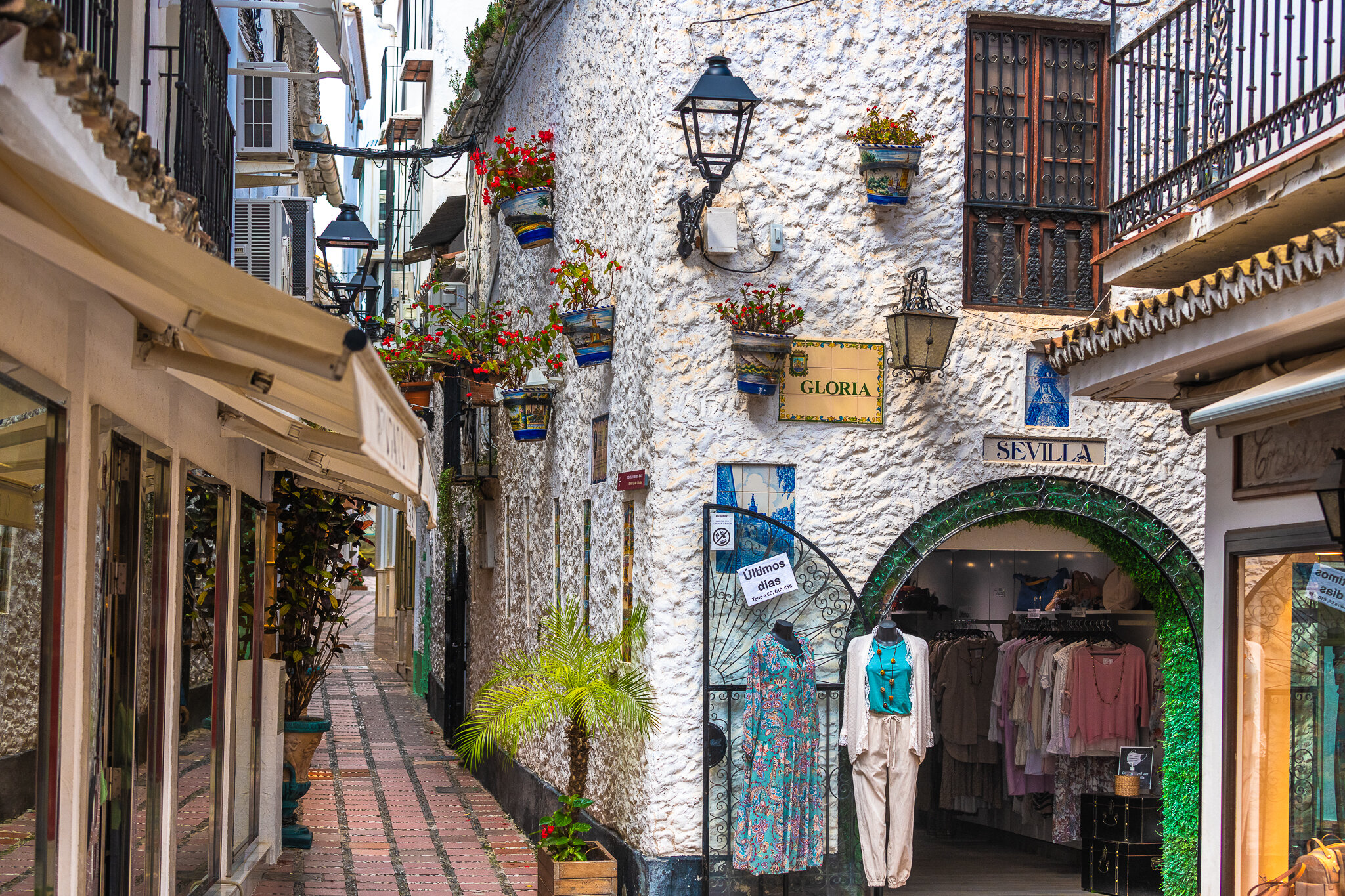 Фото 195612454276