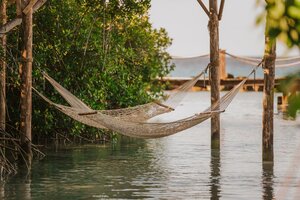 Гостиница Renaissance Wind Creek Aruba Resort