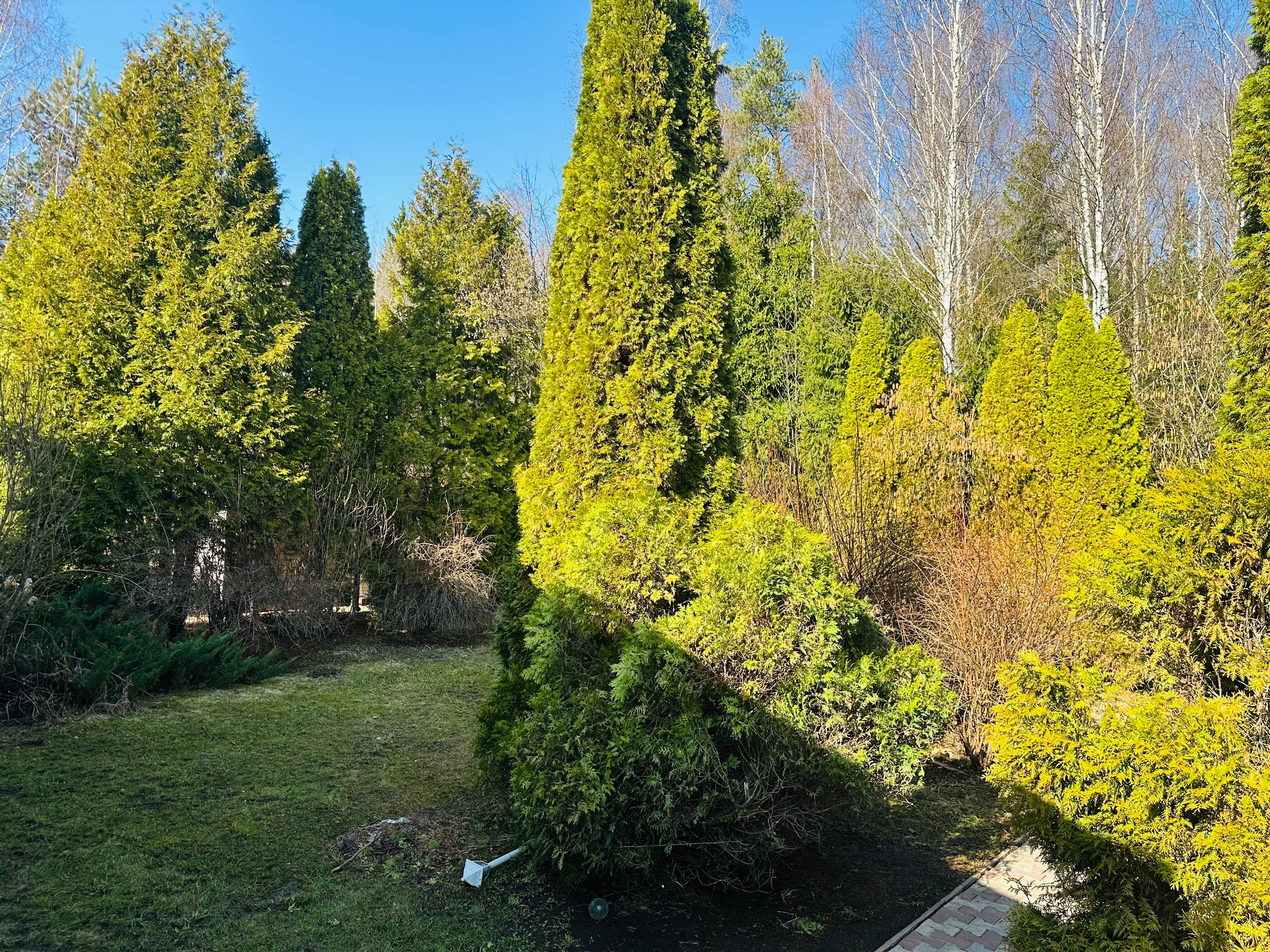 Фото Загородный дом с бассейном