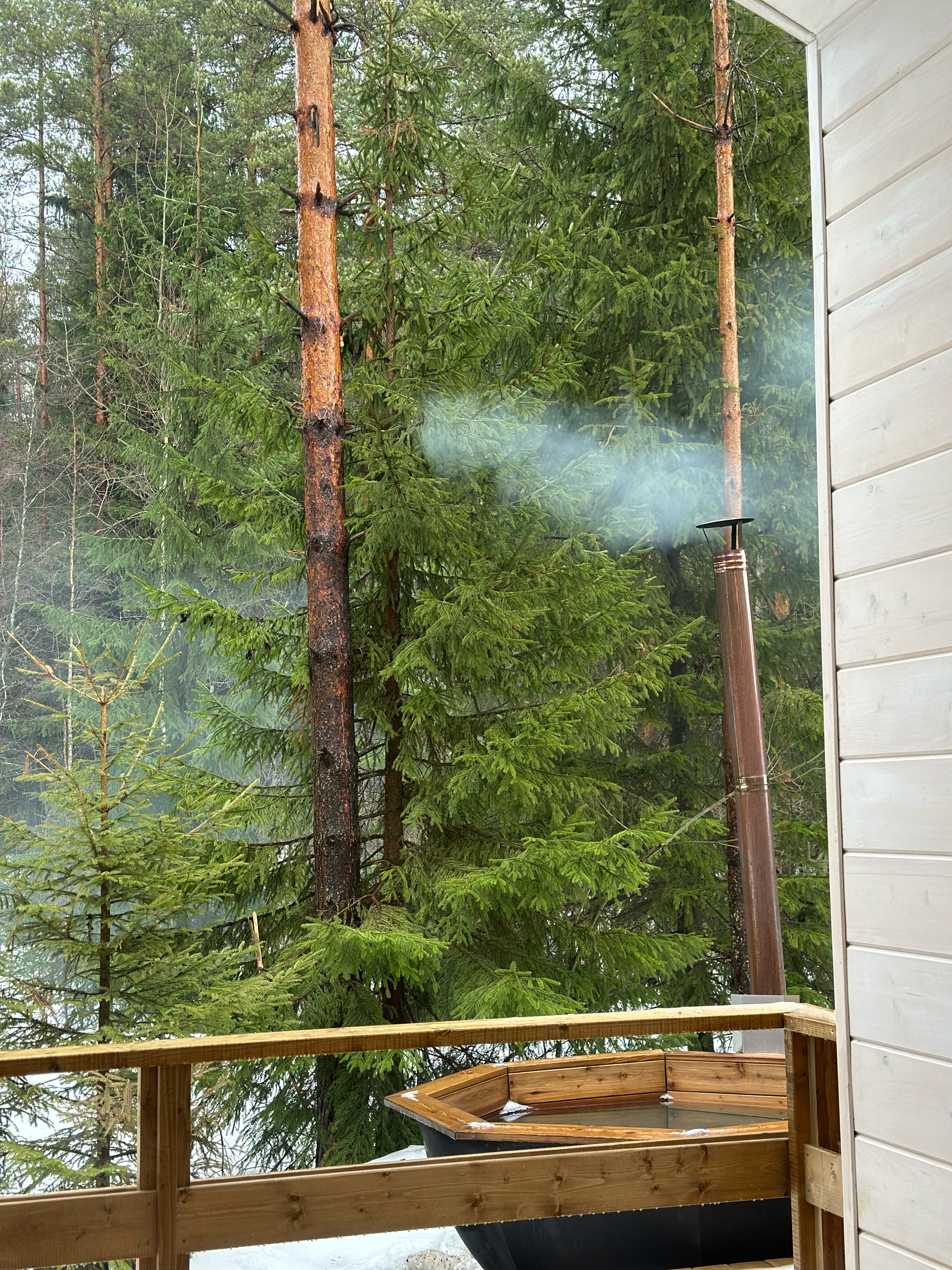 Фото Дача ForestHall