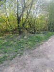 Марусино – Речка (Moscow Region, 46K-5012), parada de transporte público