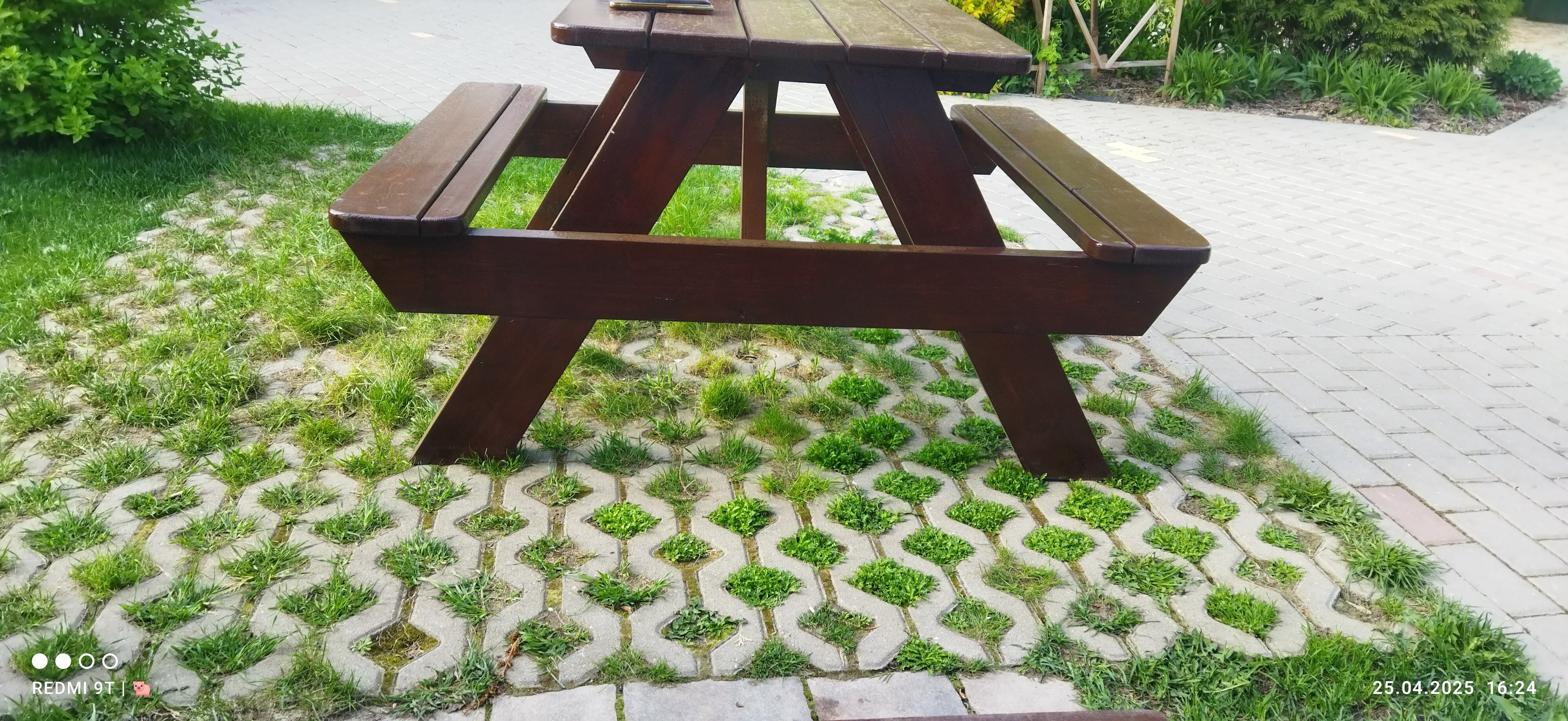 Фото Два гуся