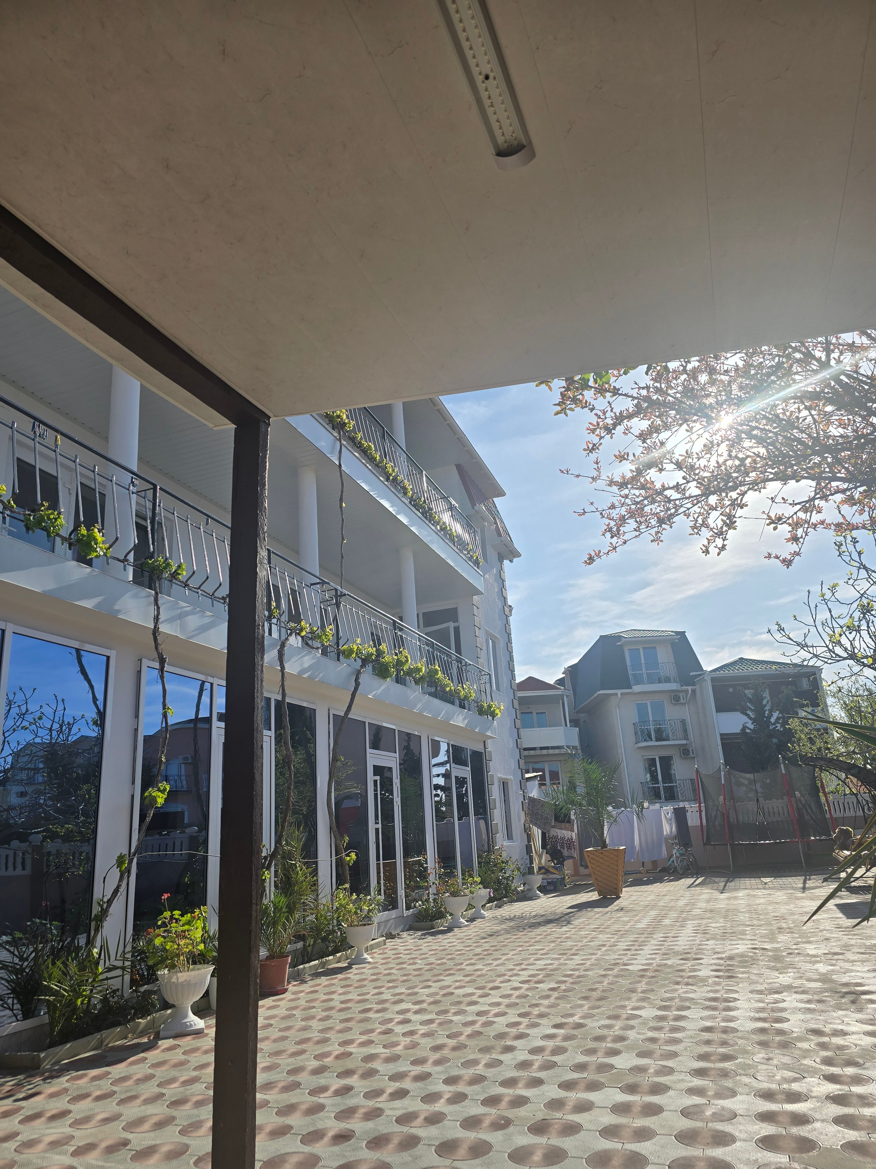 Фото Four sisters